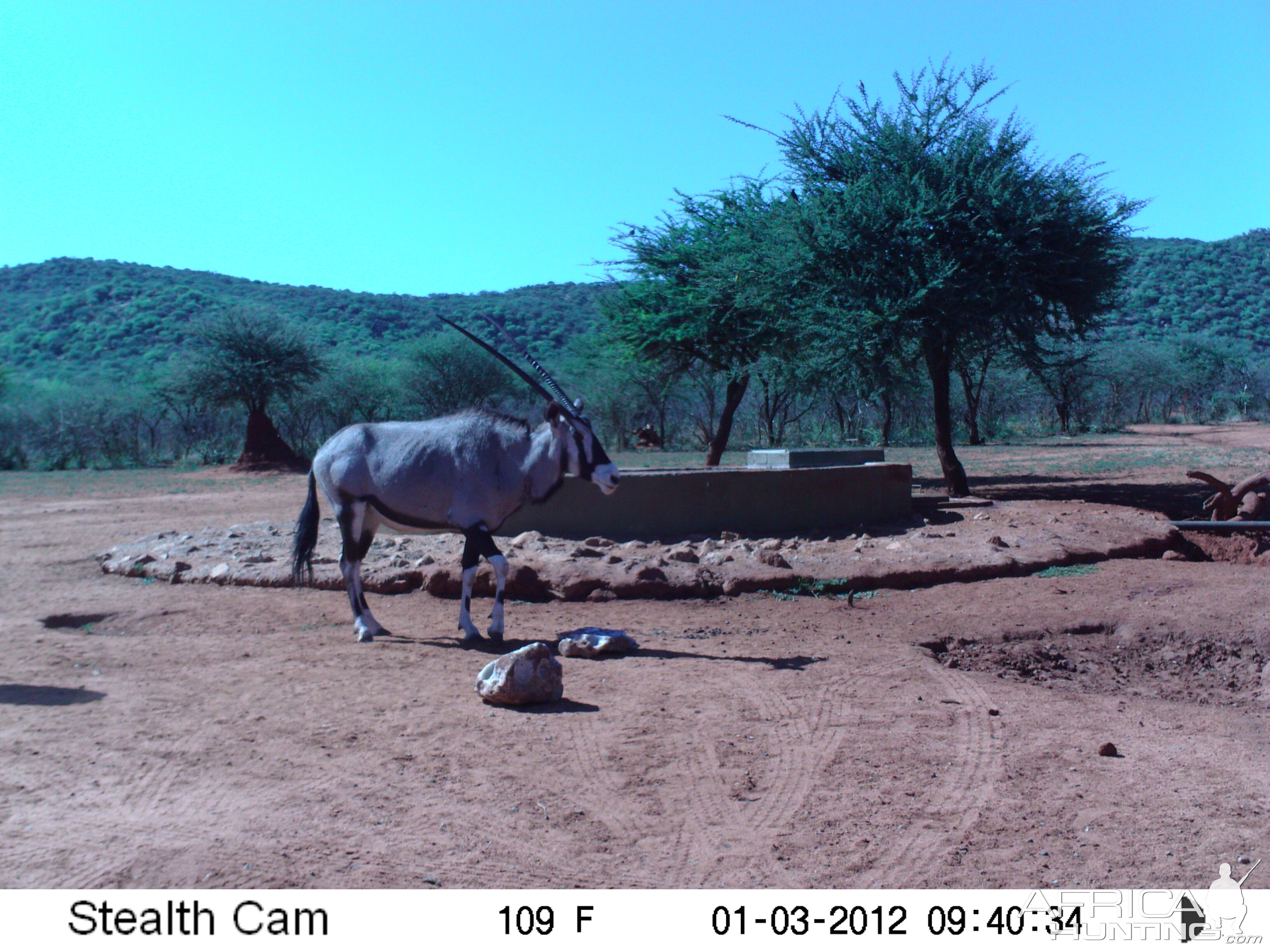 Trail Camera Namibia