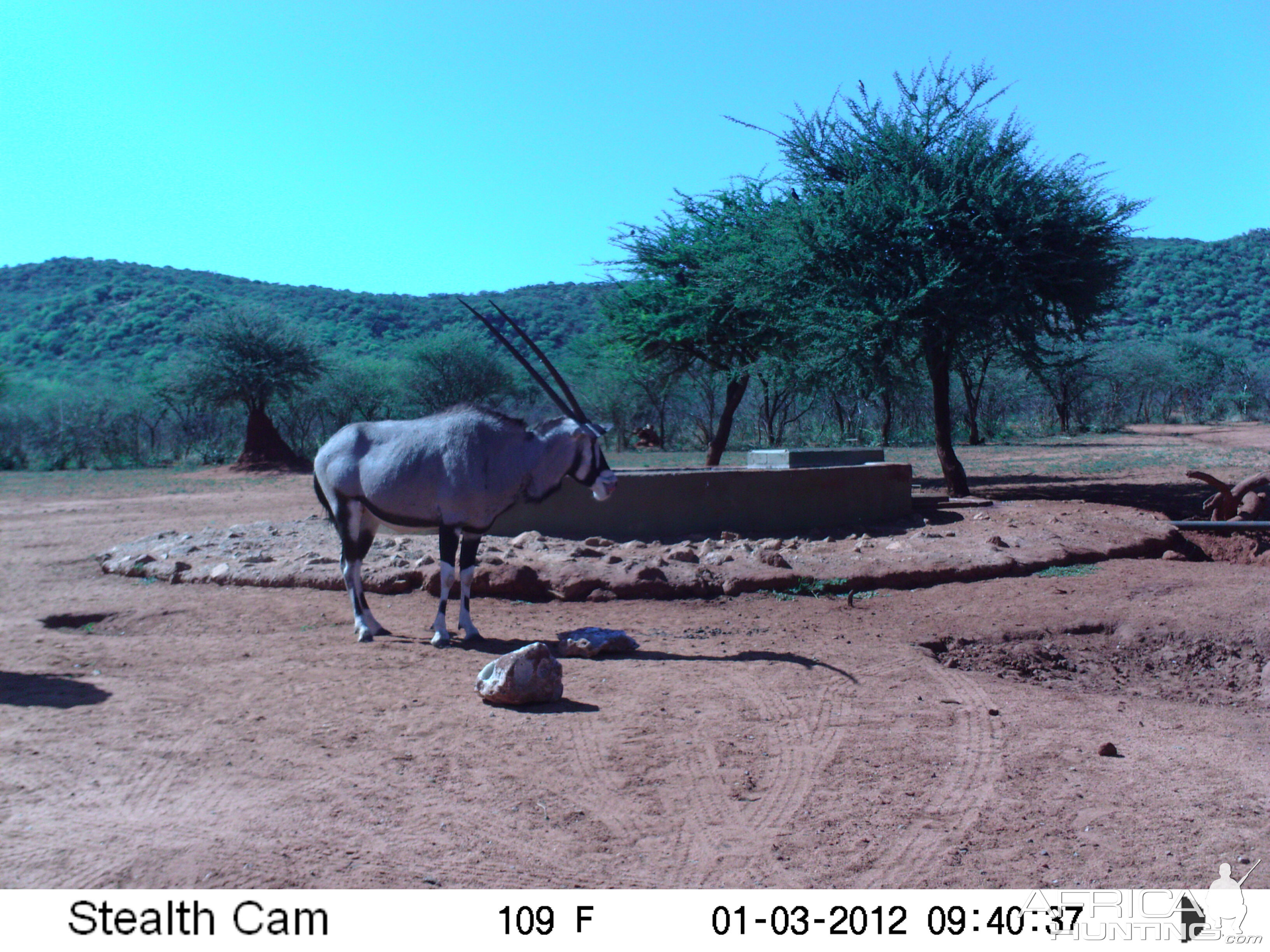 Trail Camera Namibia