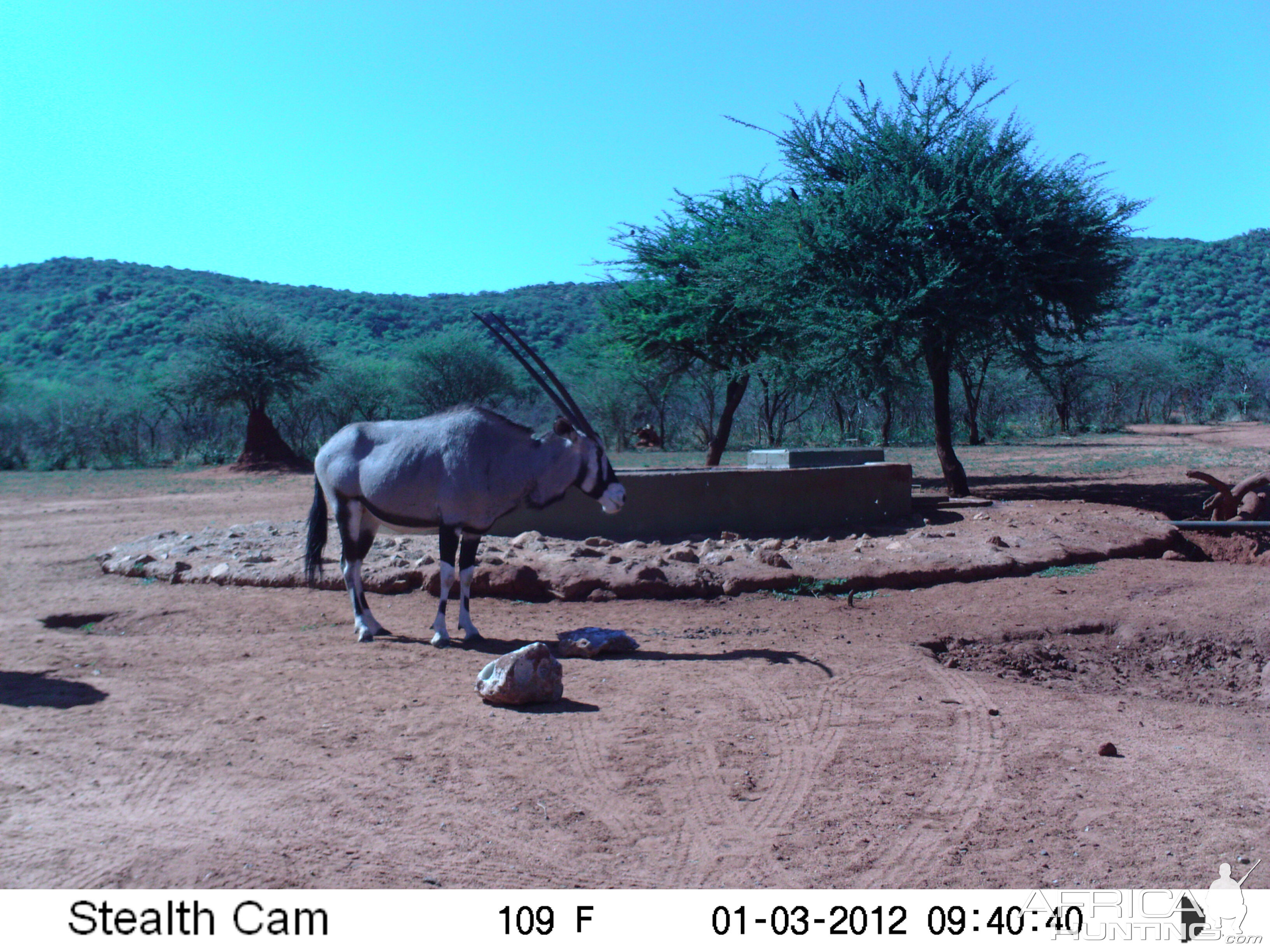 Trail Camera Namibia