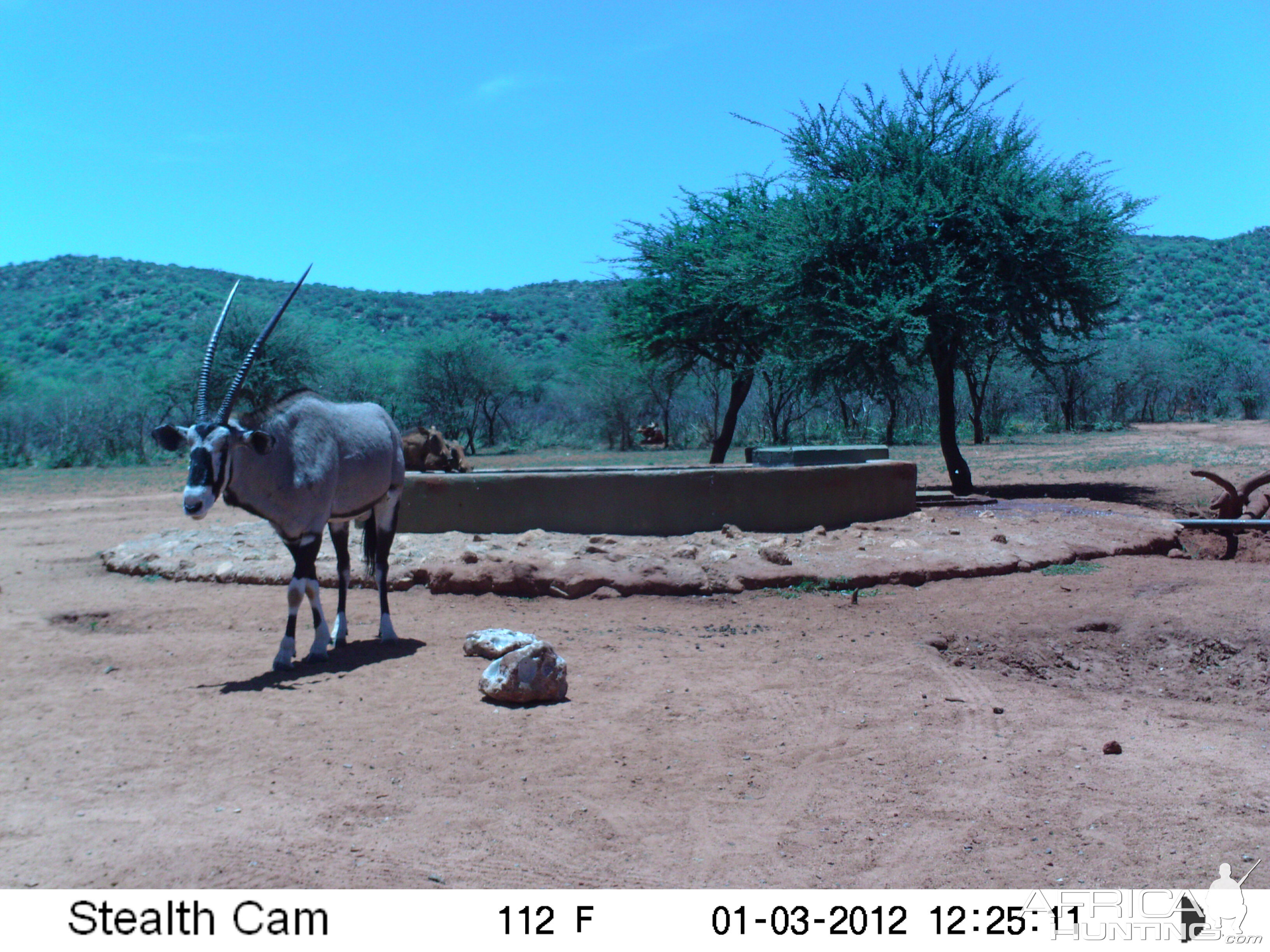 Trail Camera Namibia