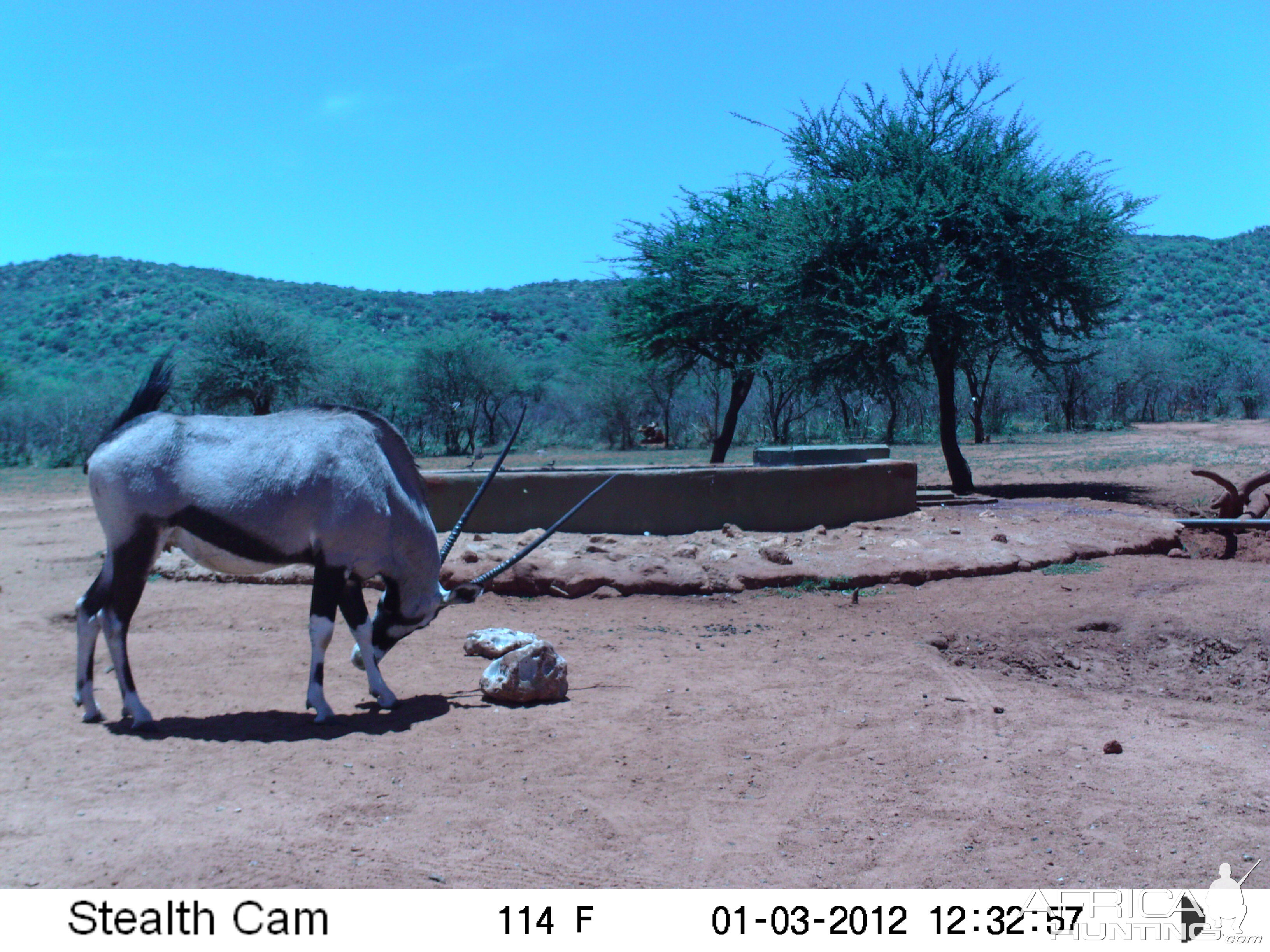 Trail Camera Namibia