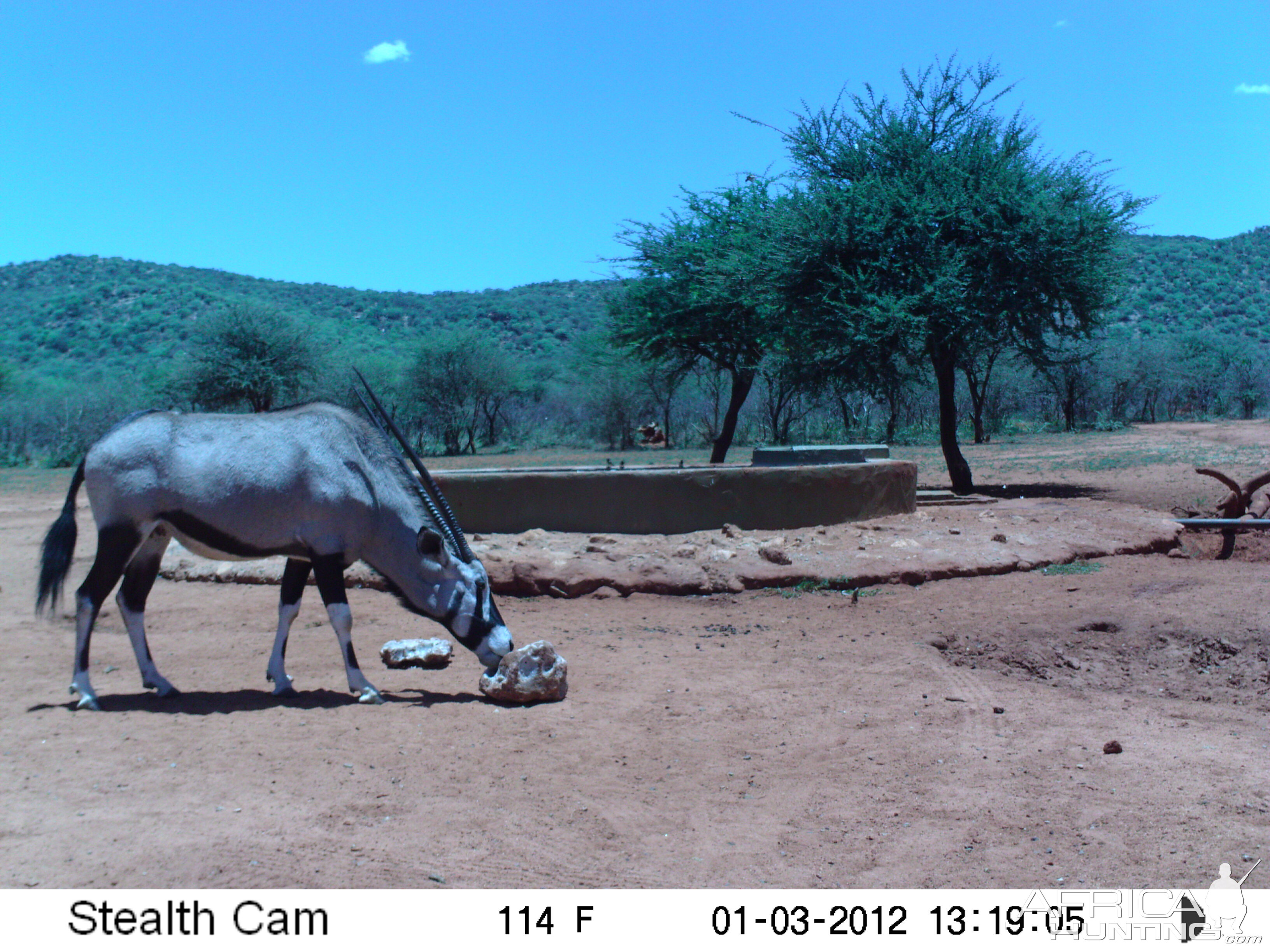 Trail Camera Namibia