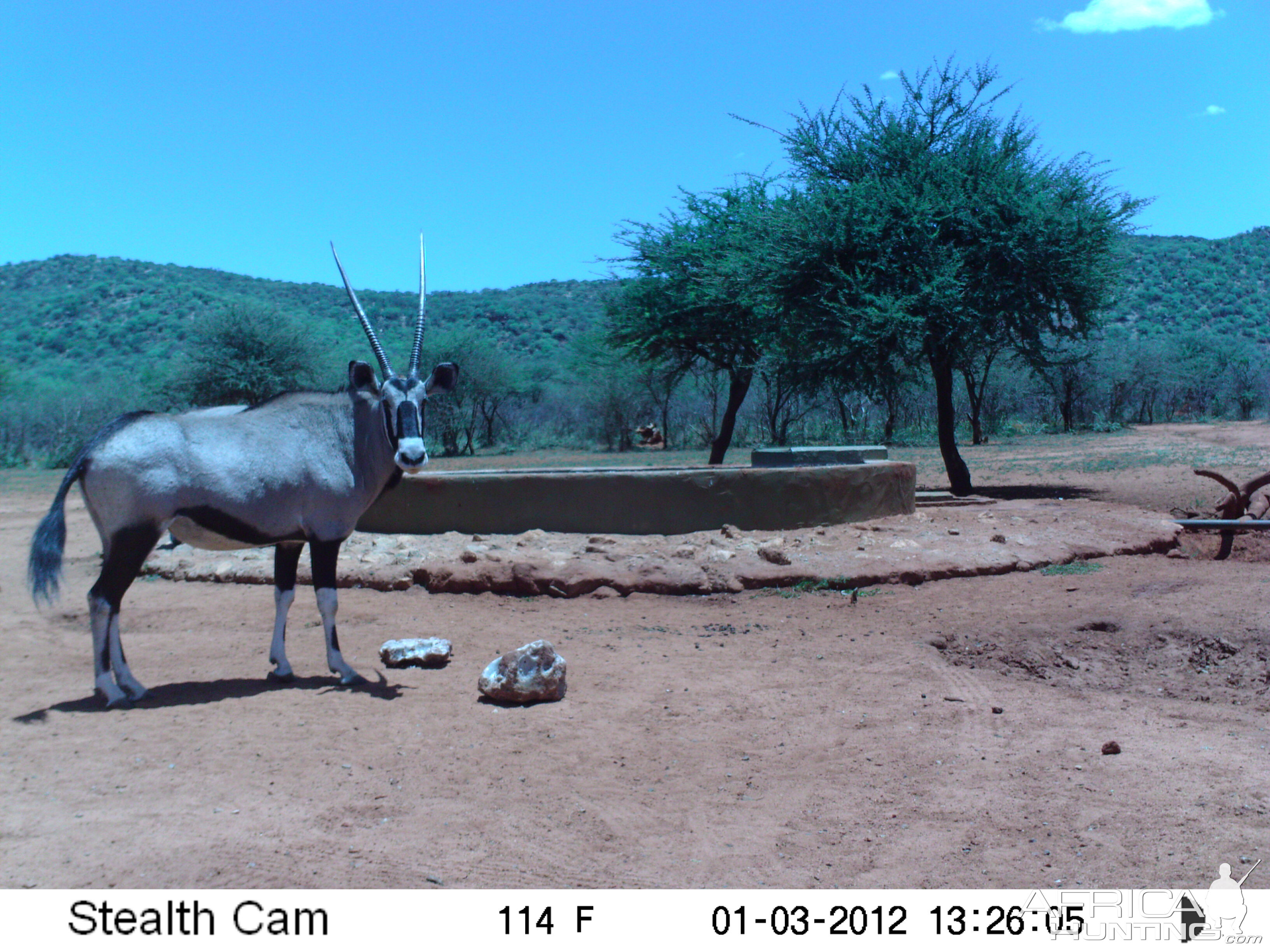 Trail Camera Namibia