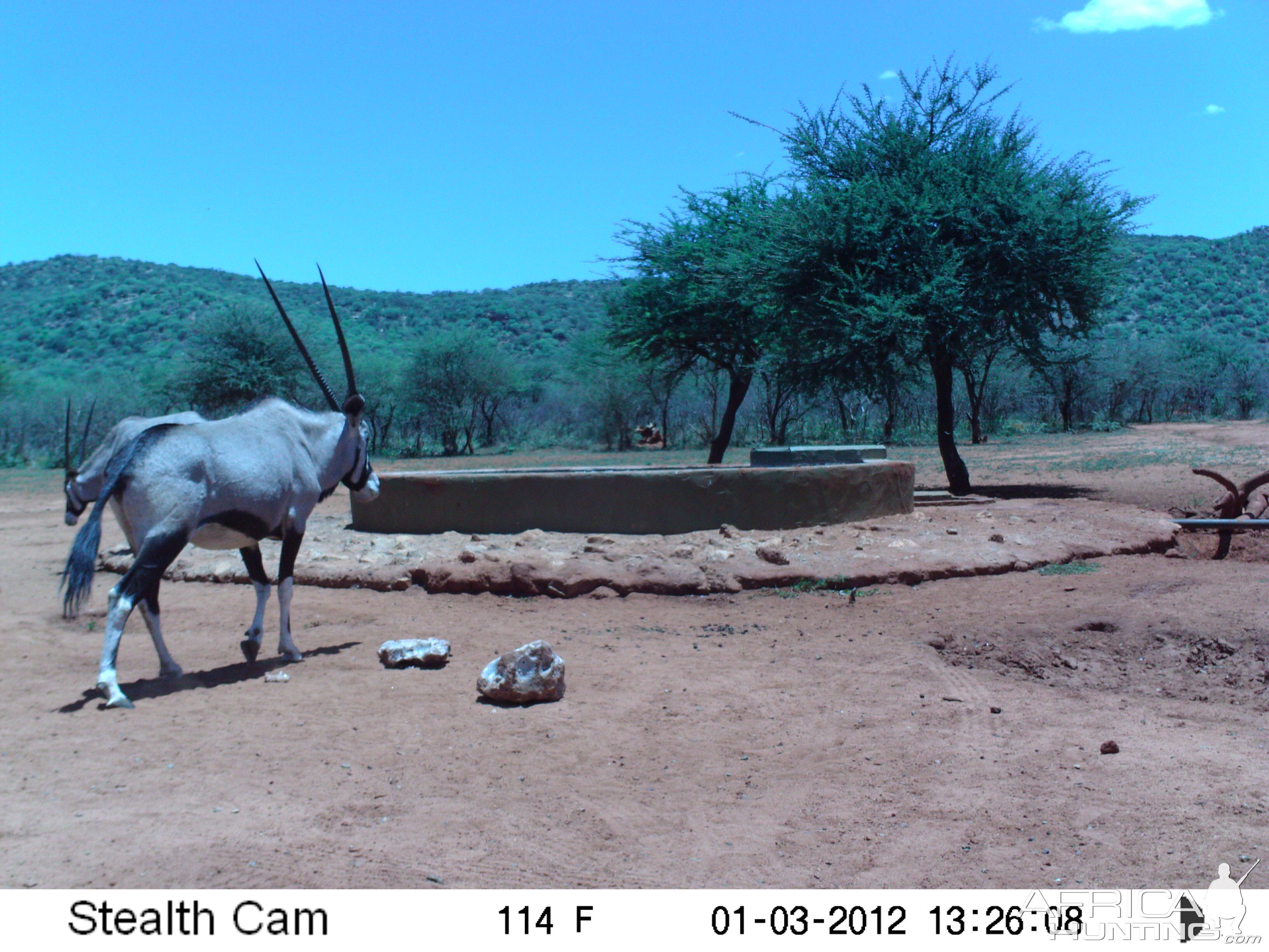 Trail Camera Namibia