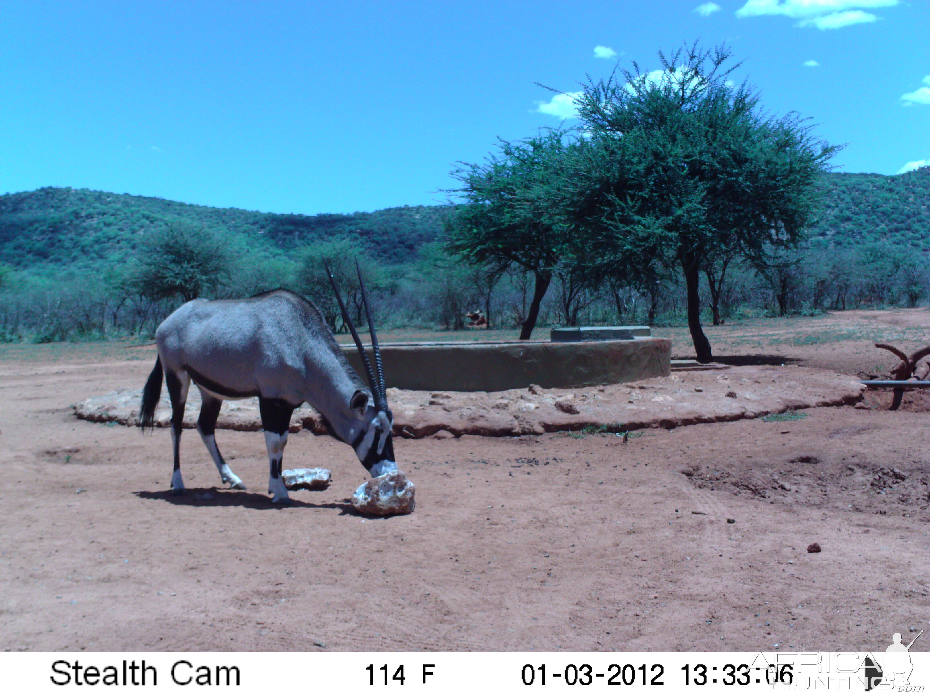 Trail Camera Namibia