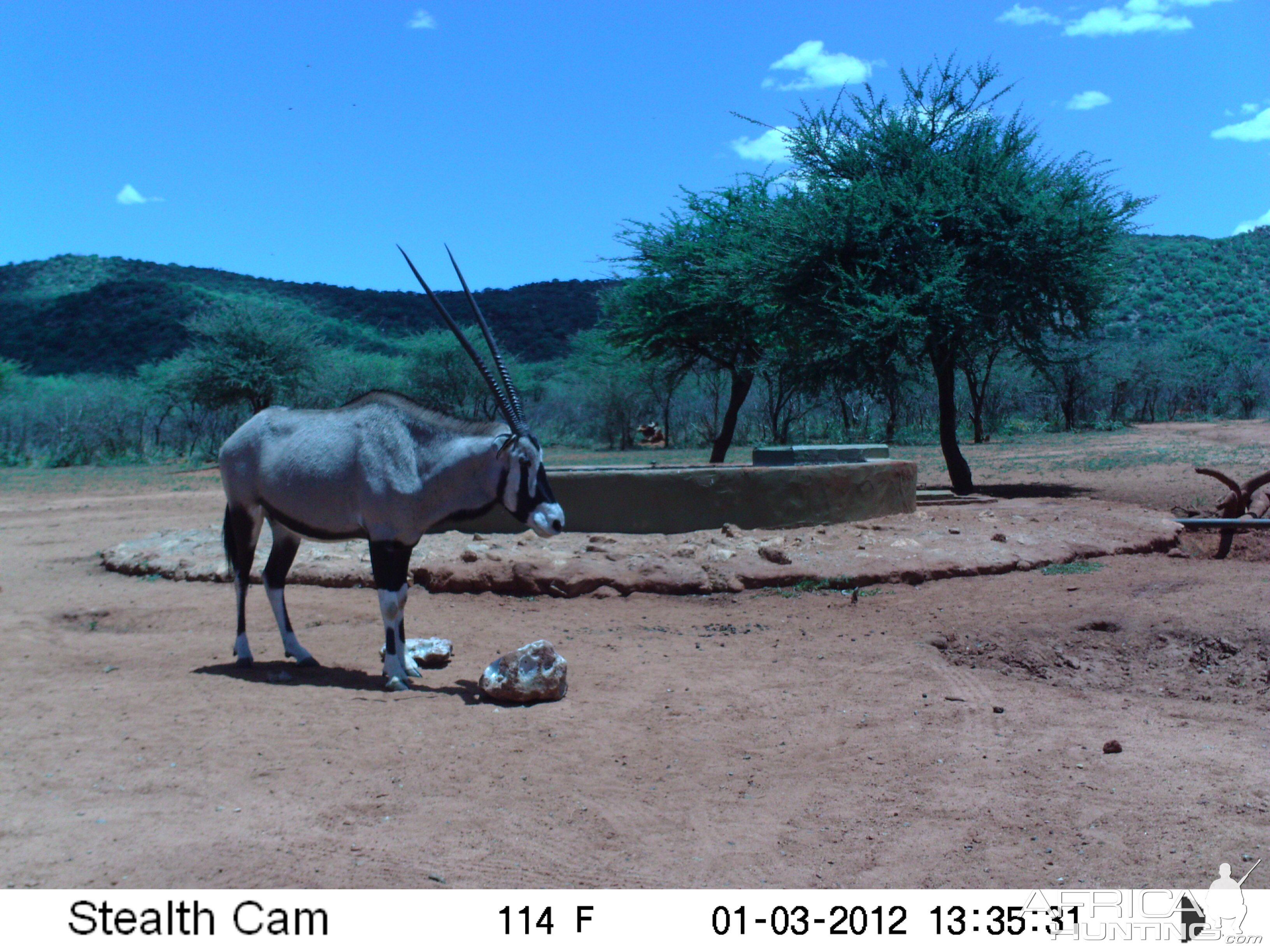 Trail Camera Namibia