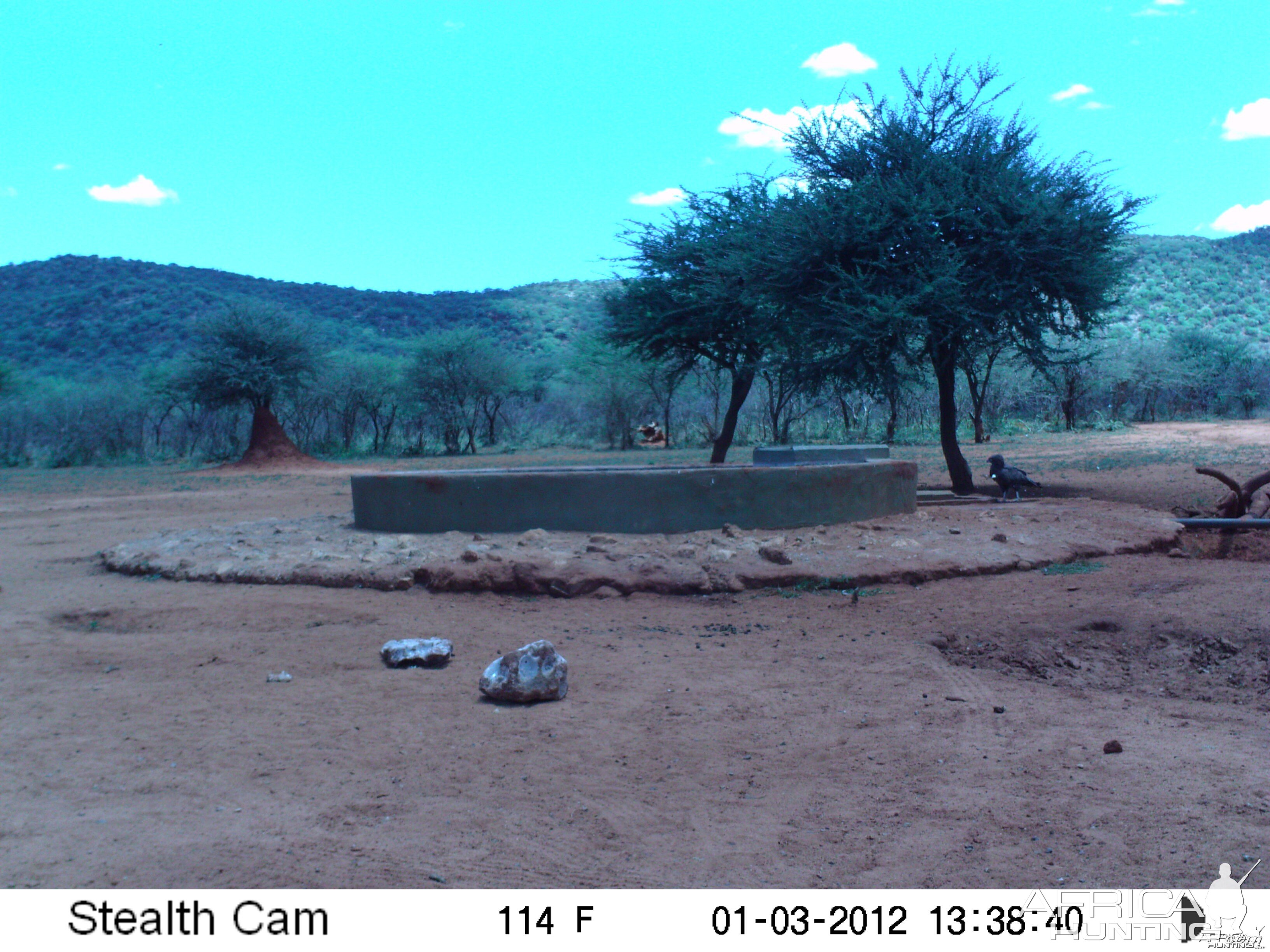 Trail Camera Namibia