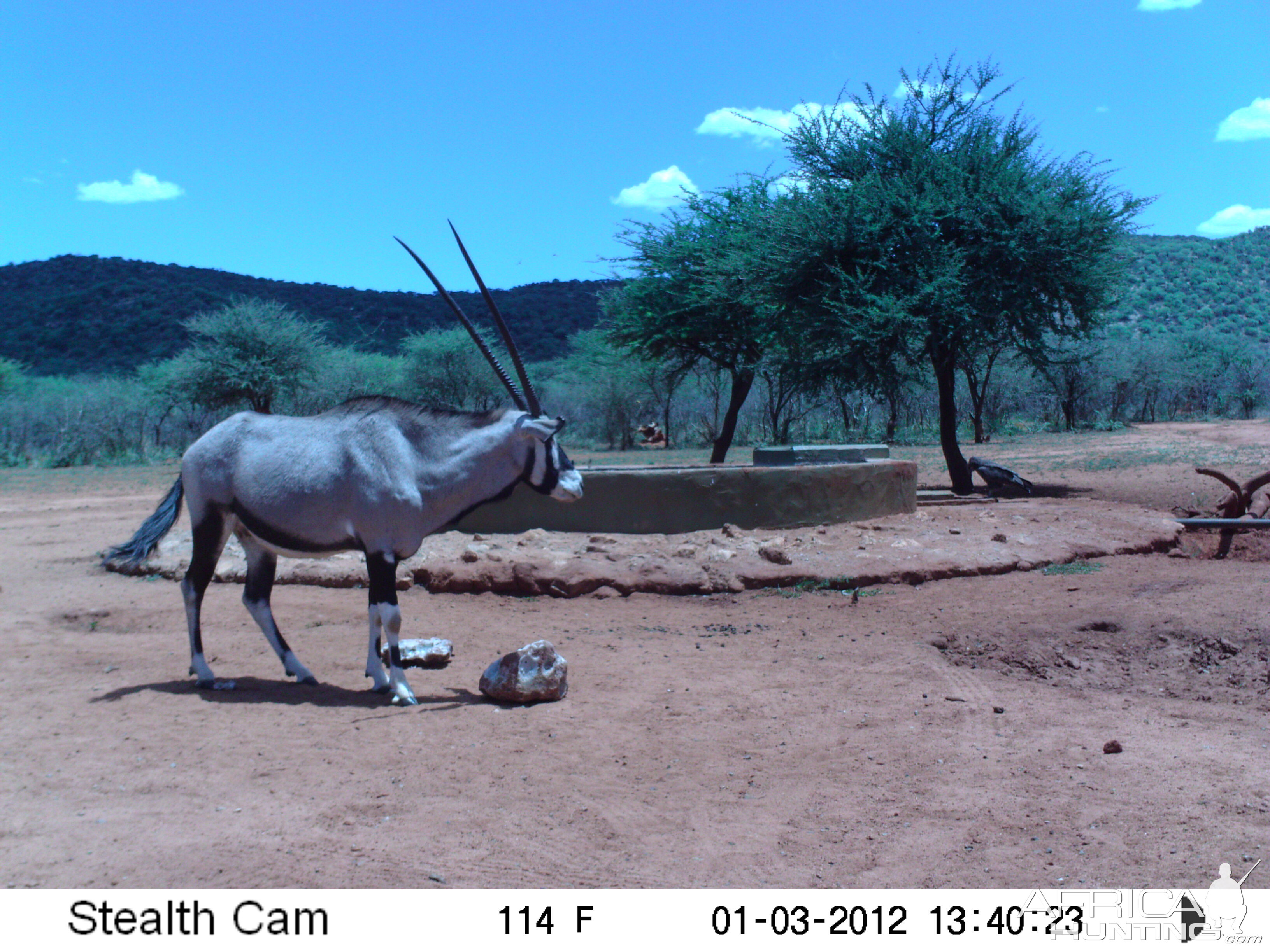 Trail Camera Namibia