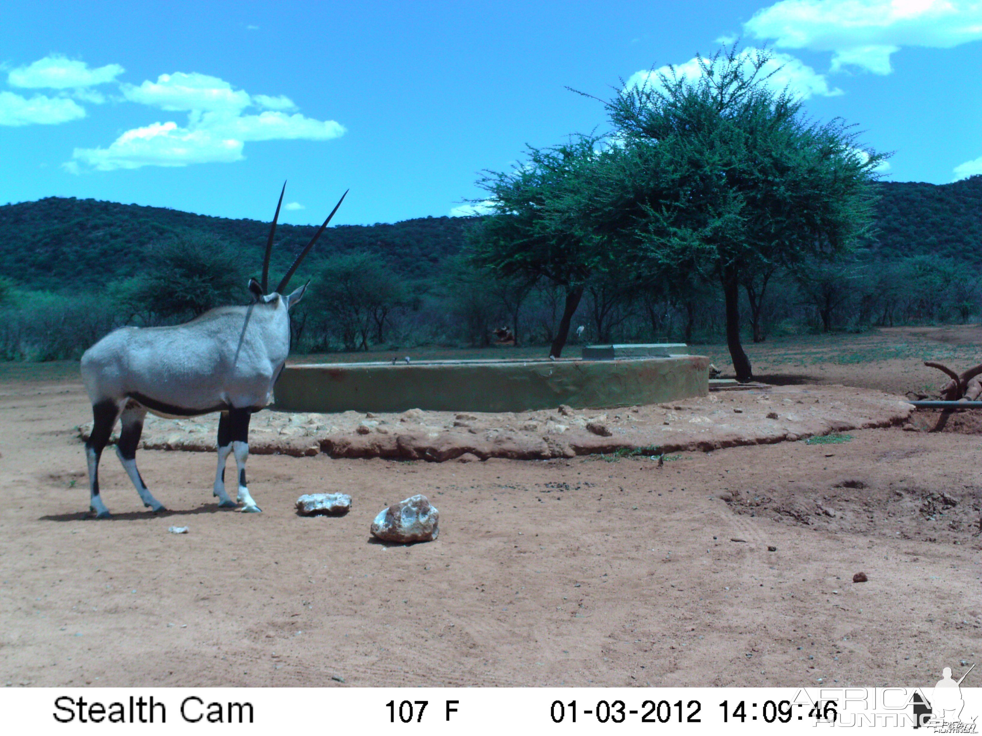 Trail Camera Namibia