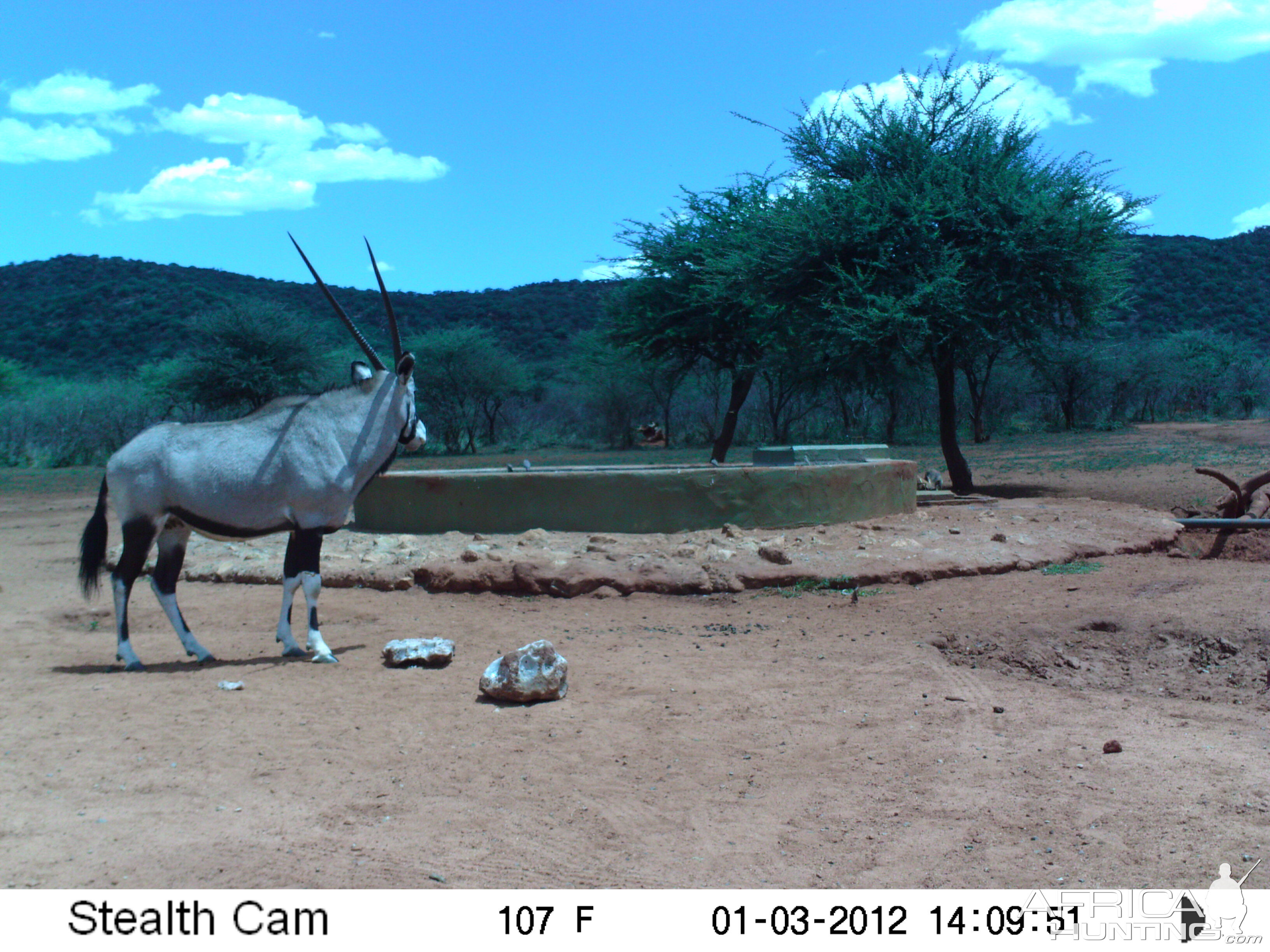 Trail Camera Namibia