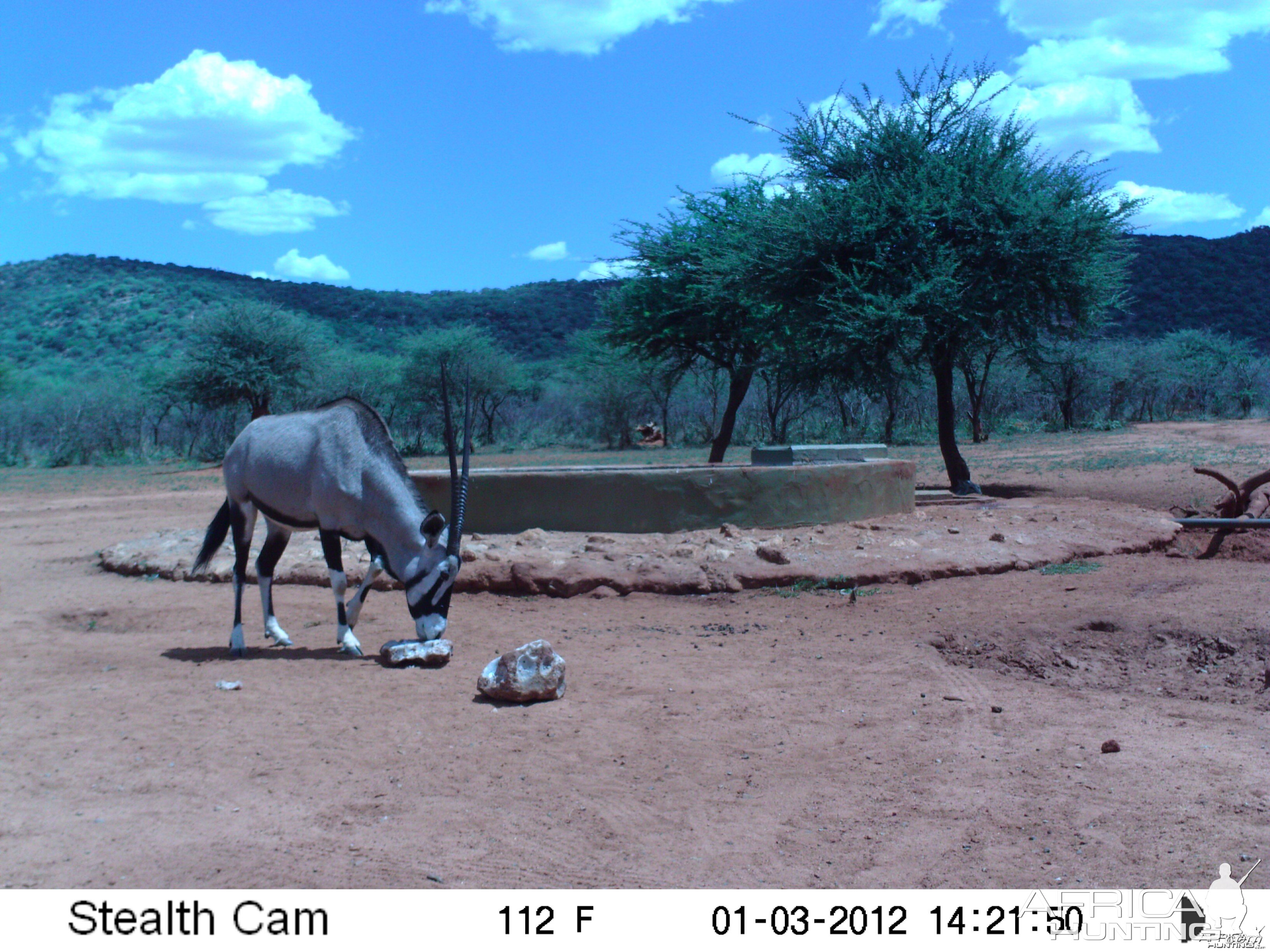 Trail Camera Namibia