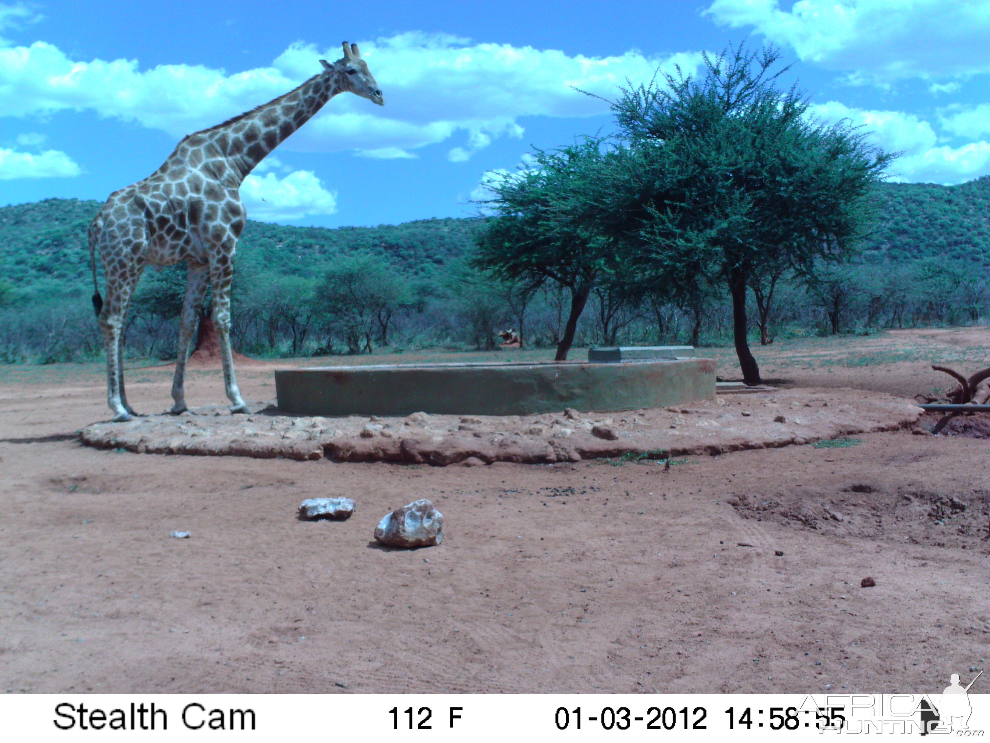 Trail Camera Namibia