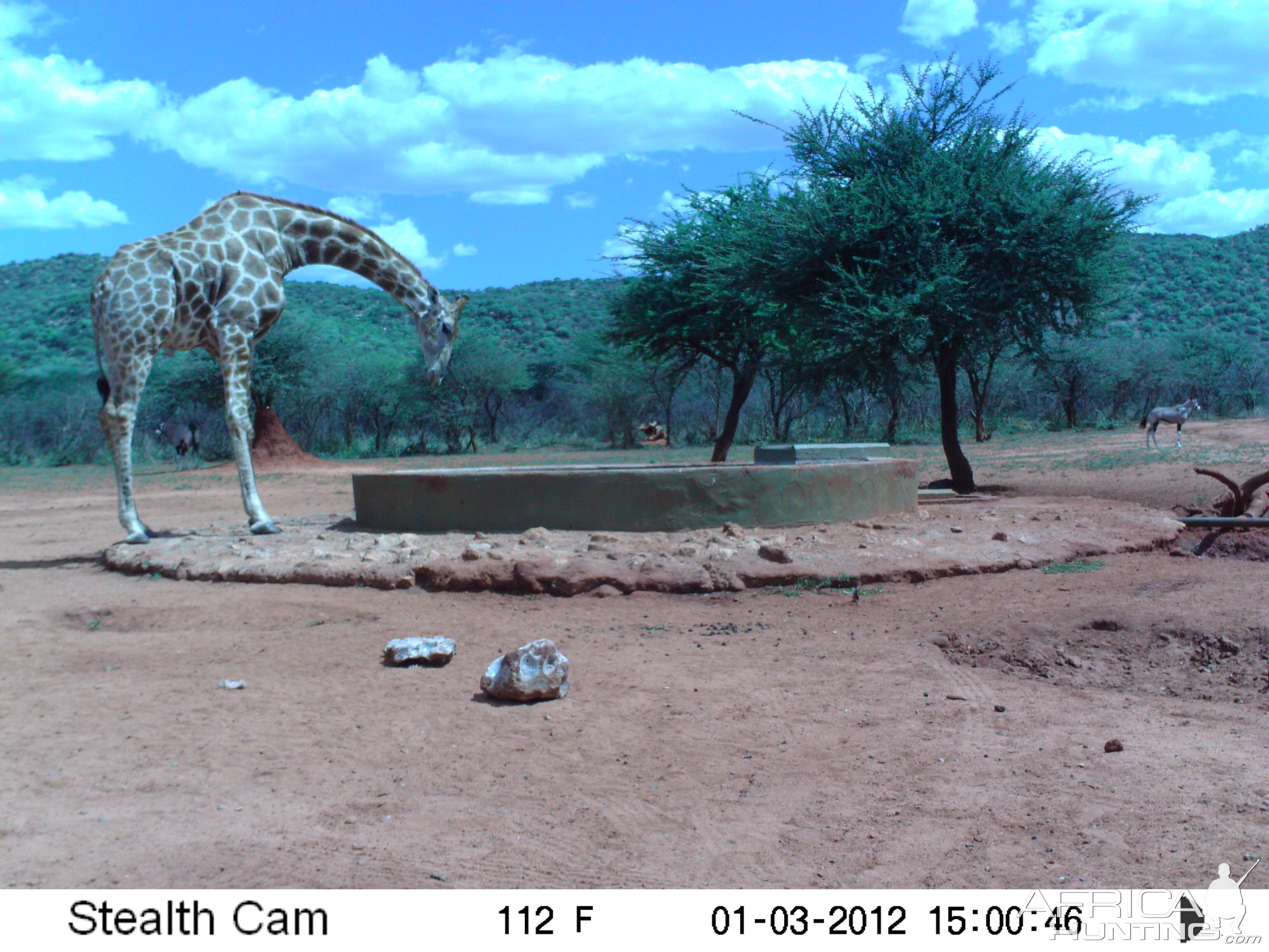 Trail Camera Namibia