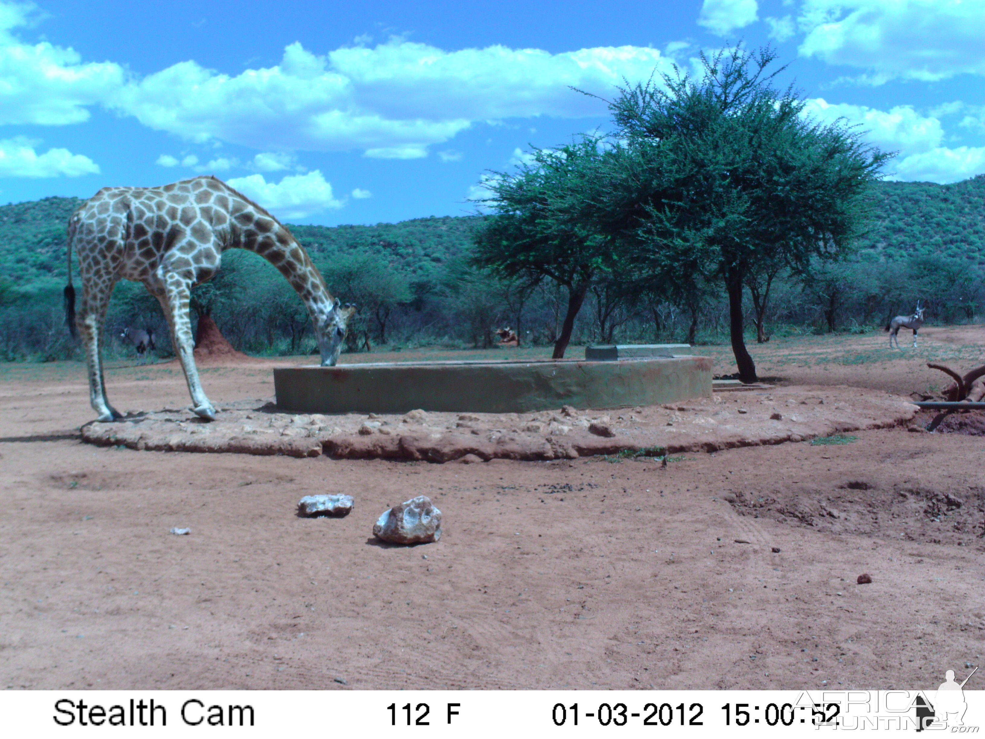 Trail Camera Namibia