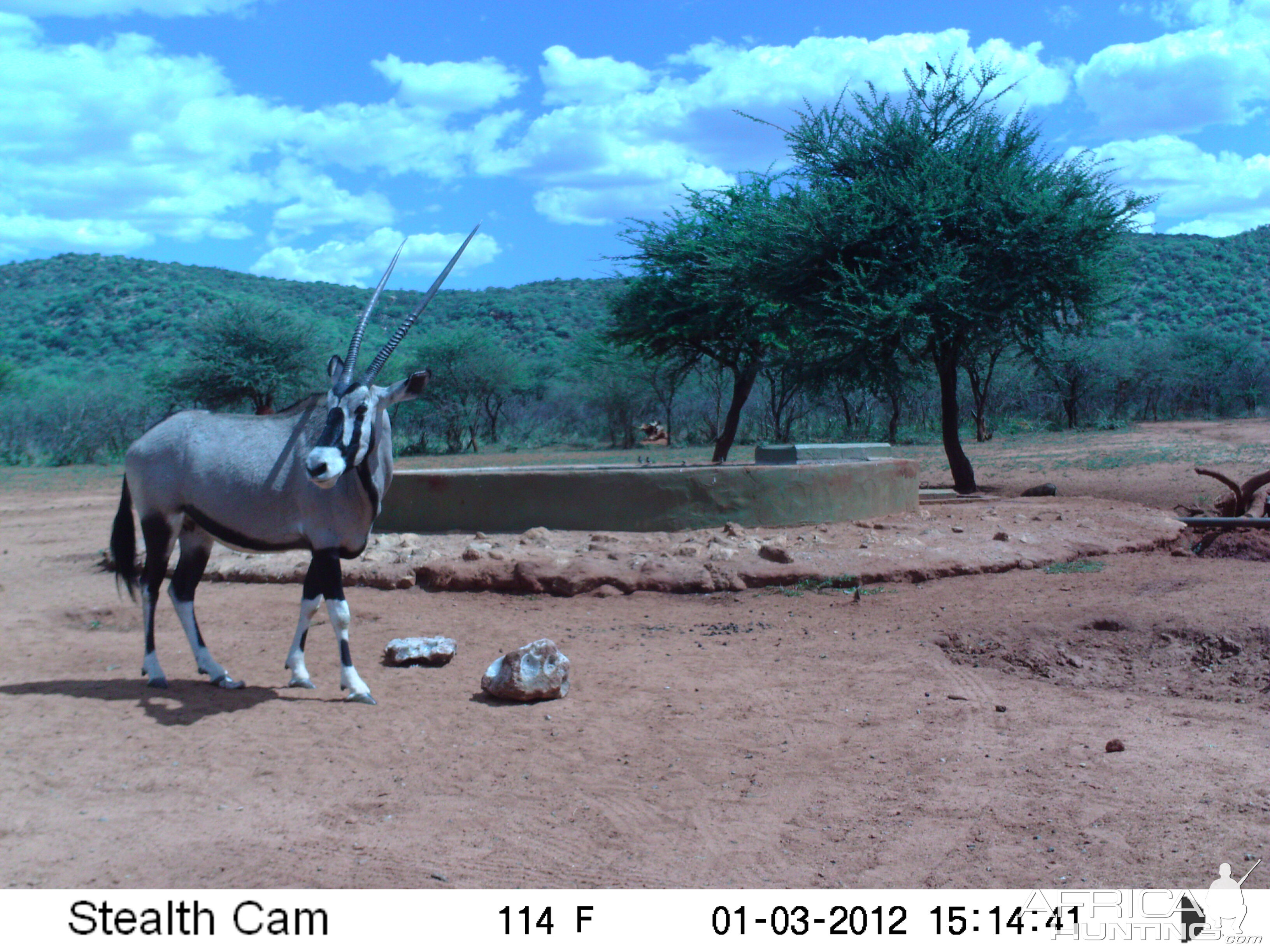 Trail Camera Namibia