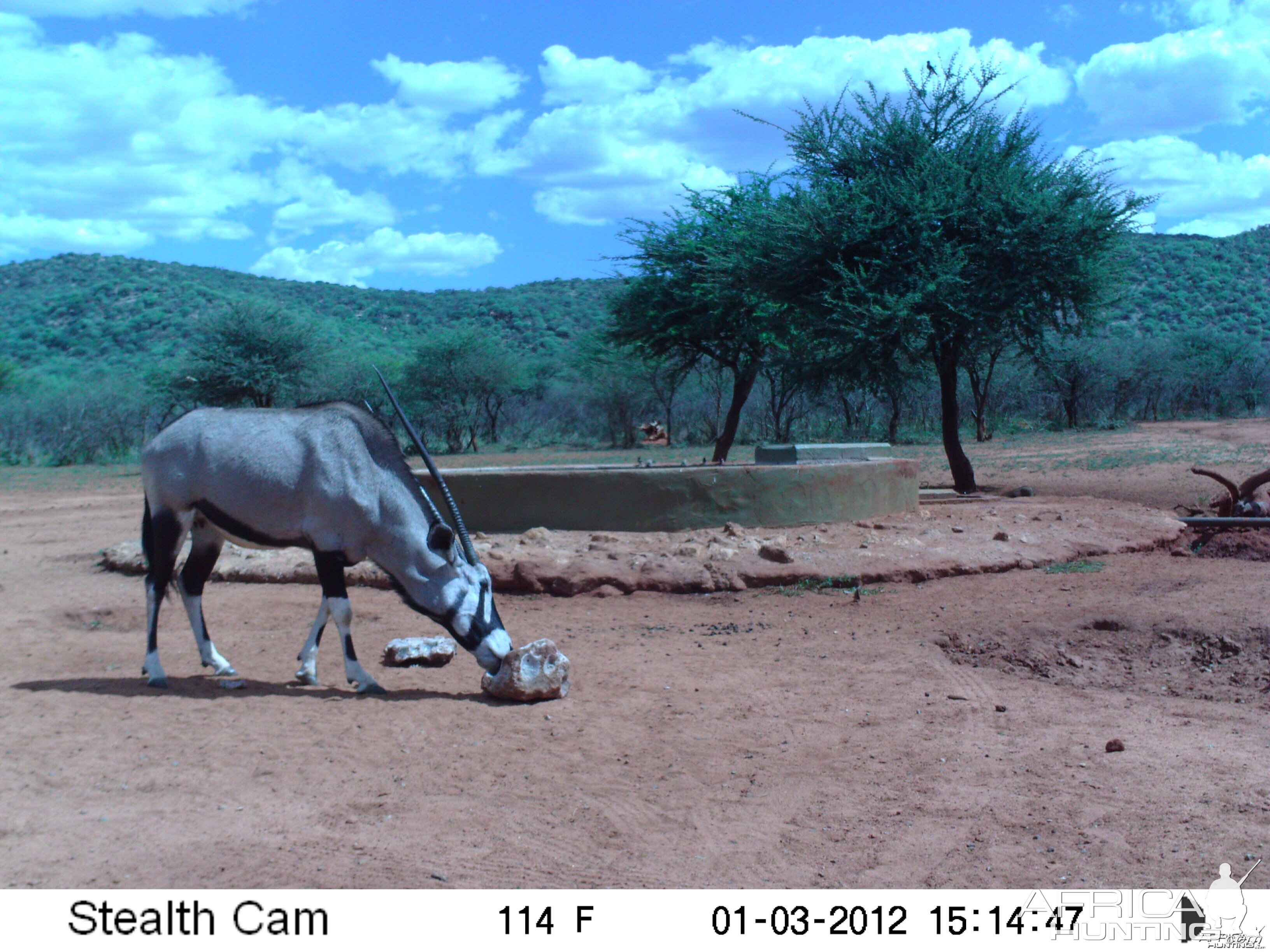 Trail Camera Namibia