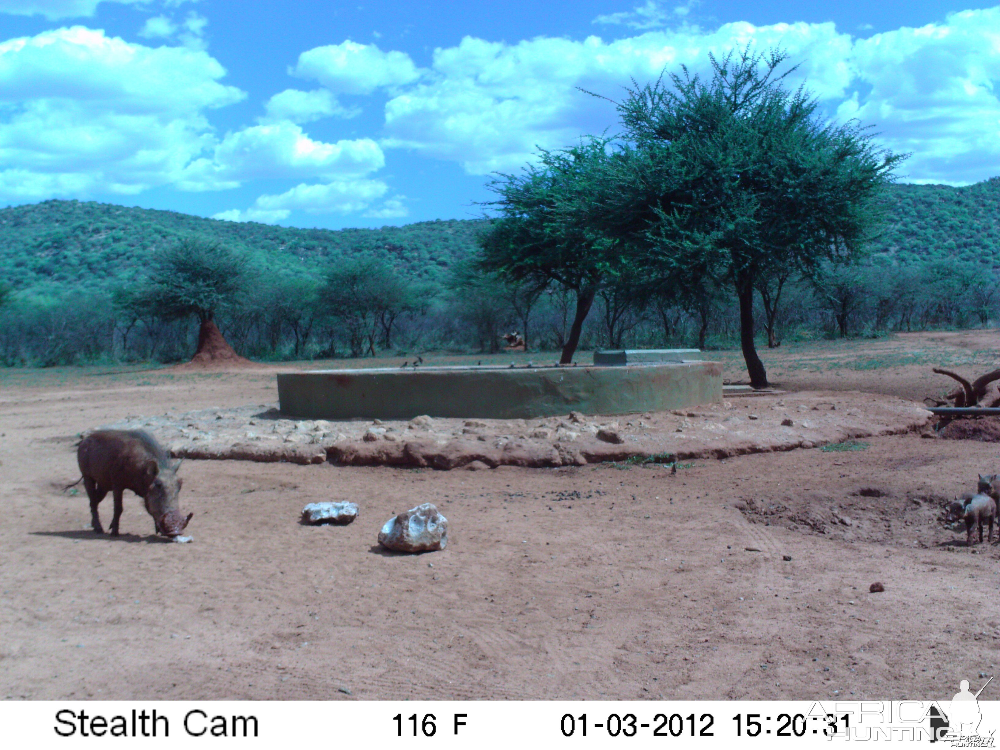 Trail Camera Namibia