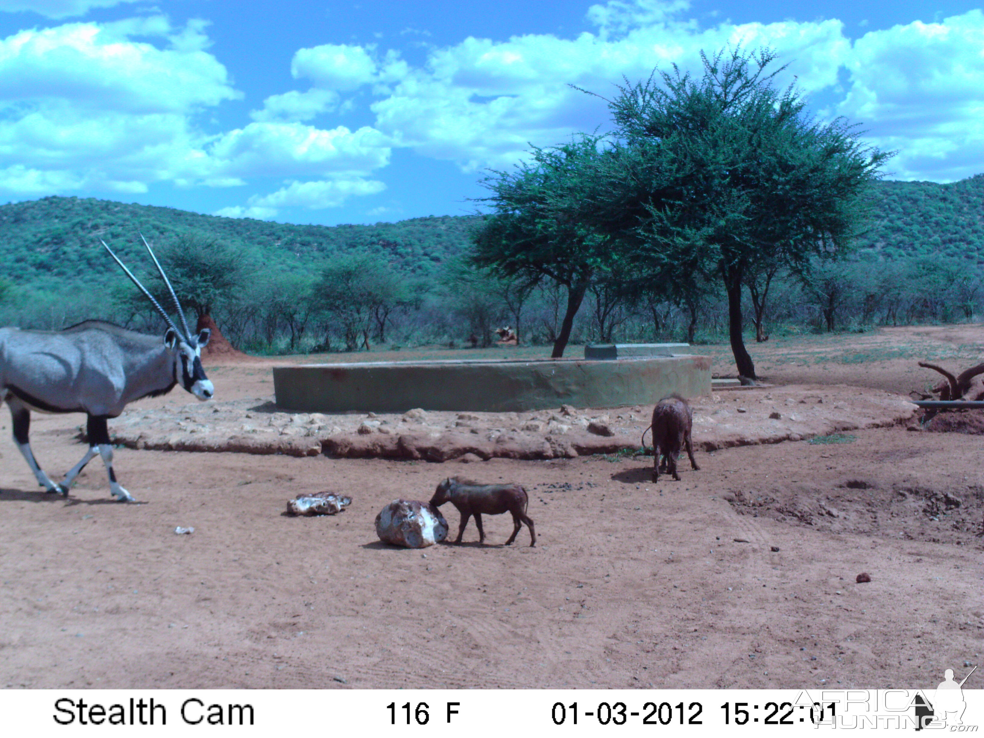 Trail Camera Namibia