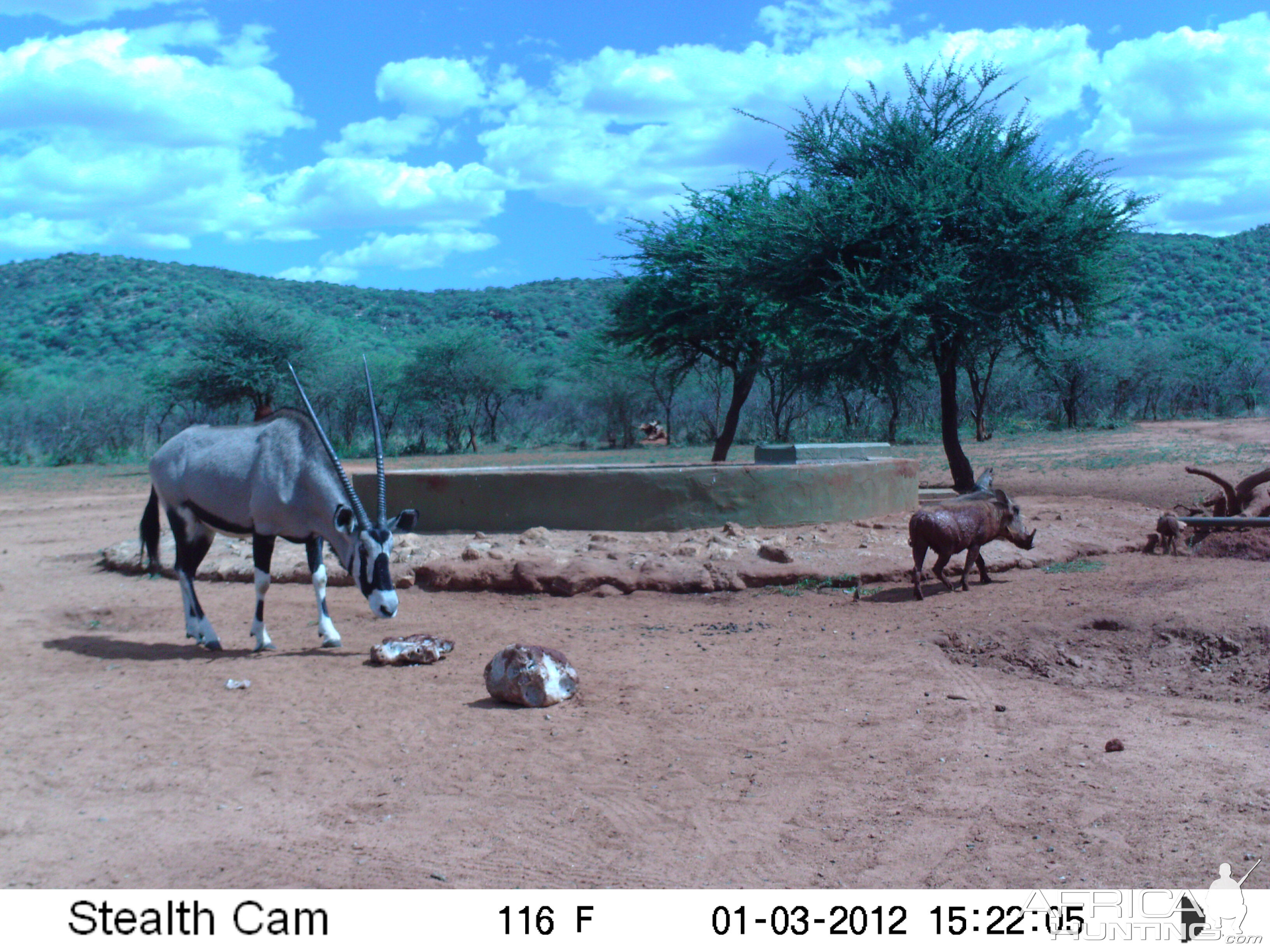 Trail Camera Namibia