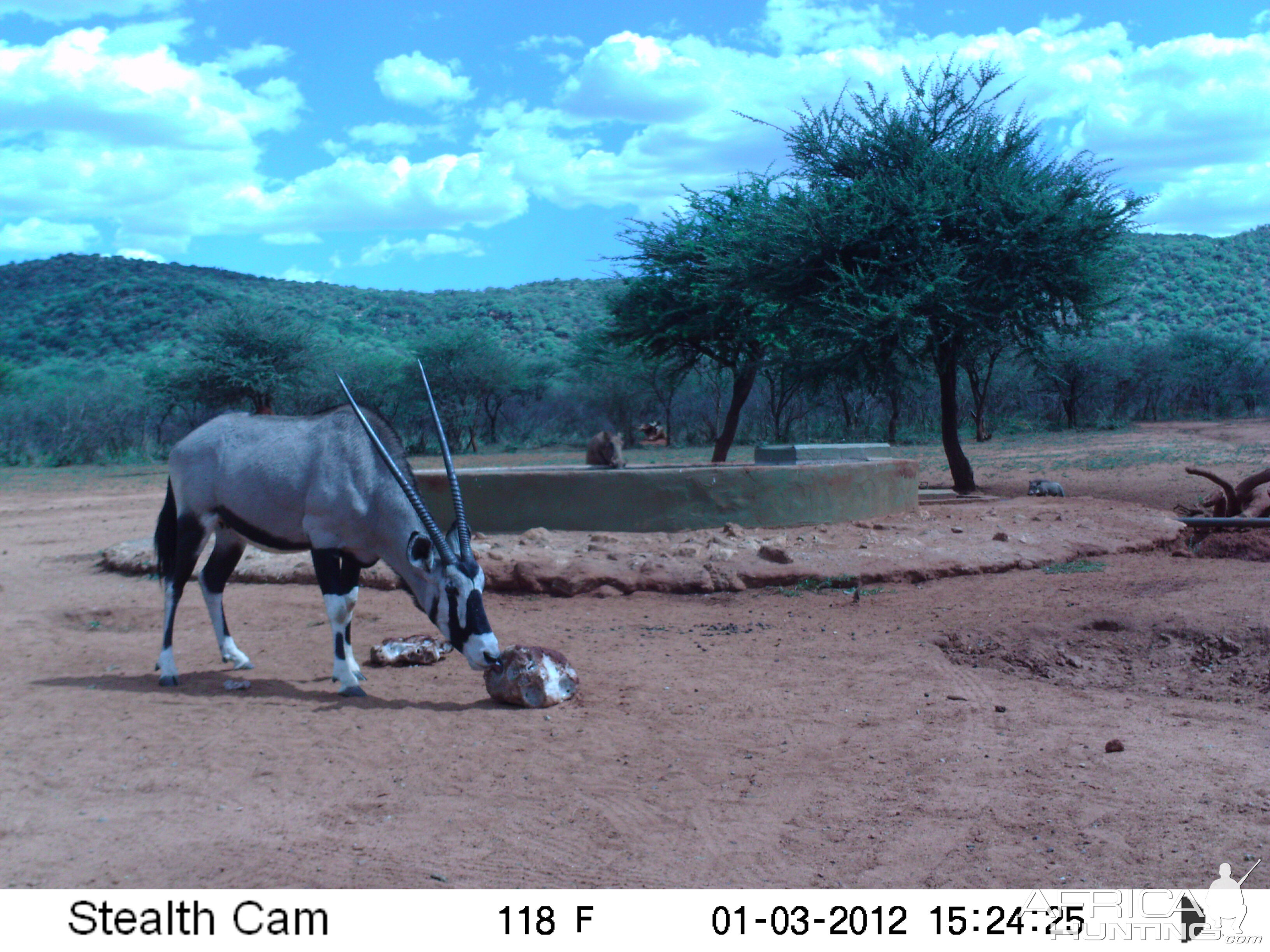 Trail Camera Namibia