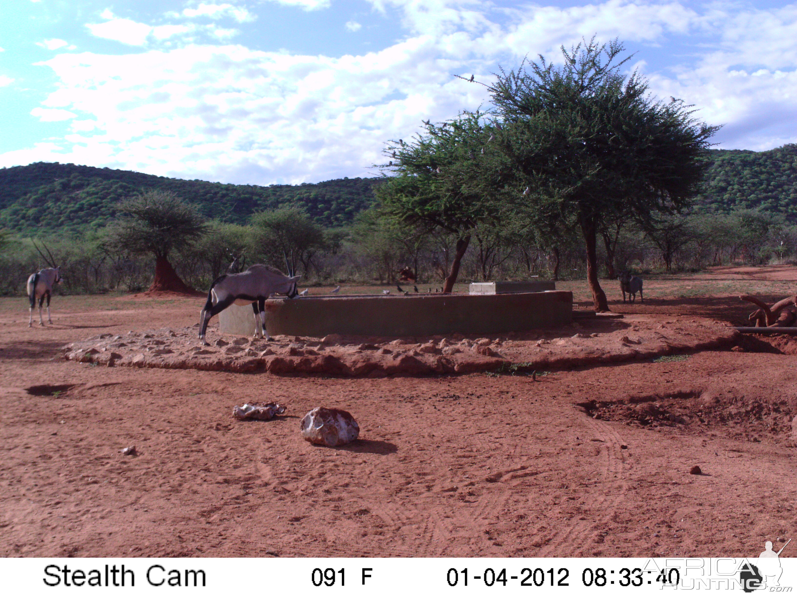 Trail Camera Namibia