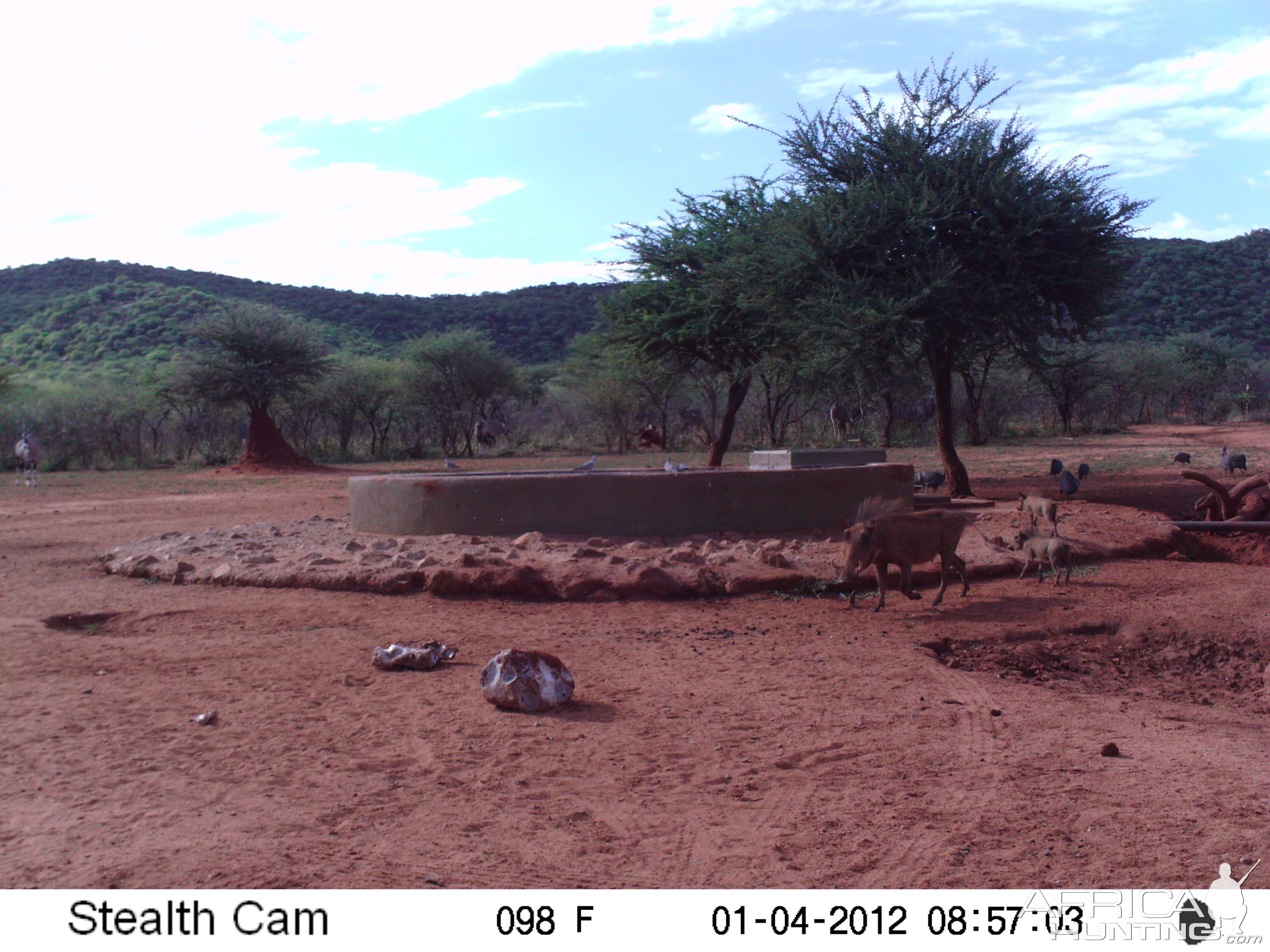 Trail Camera Namibia