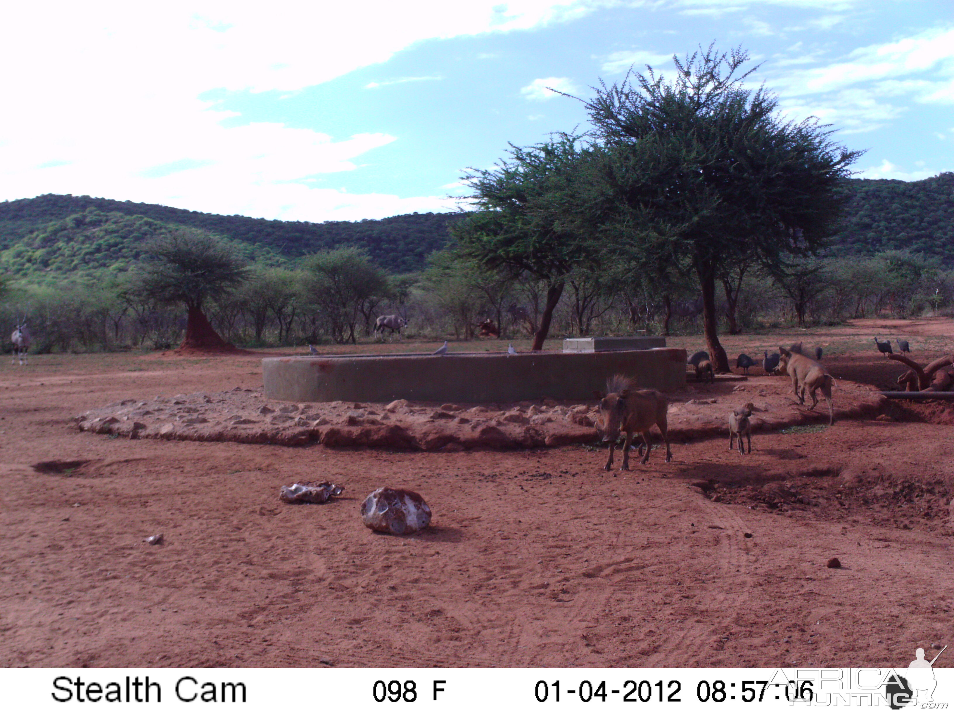 Trail Camera Namibia