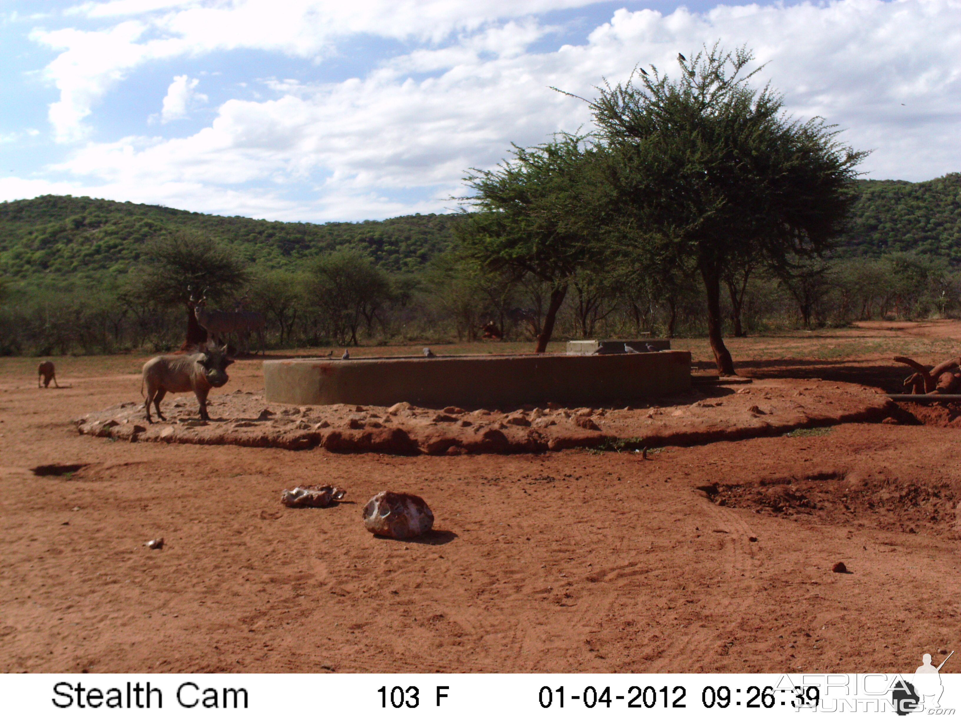 Trail Camera Namibia