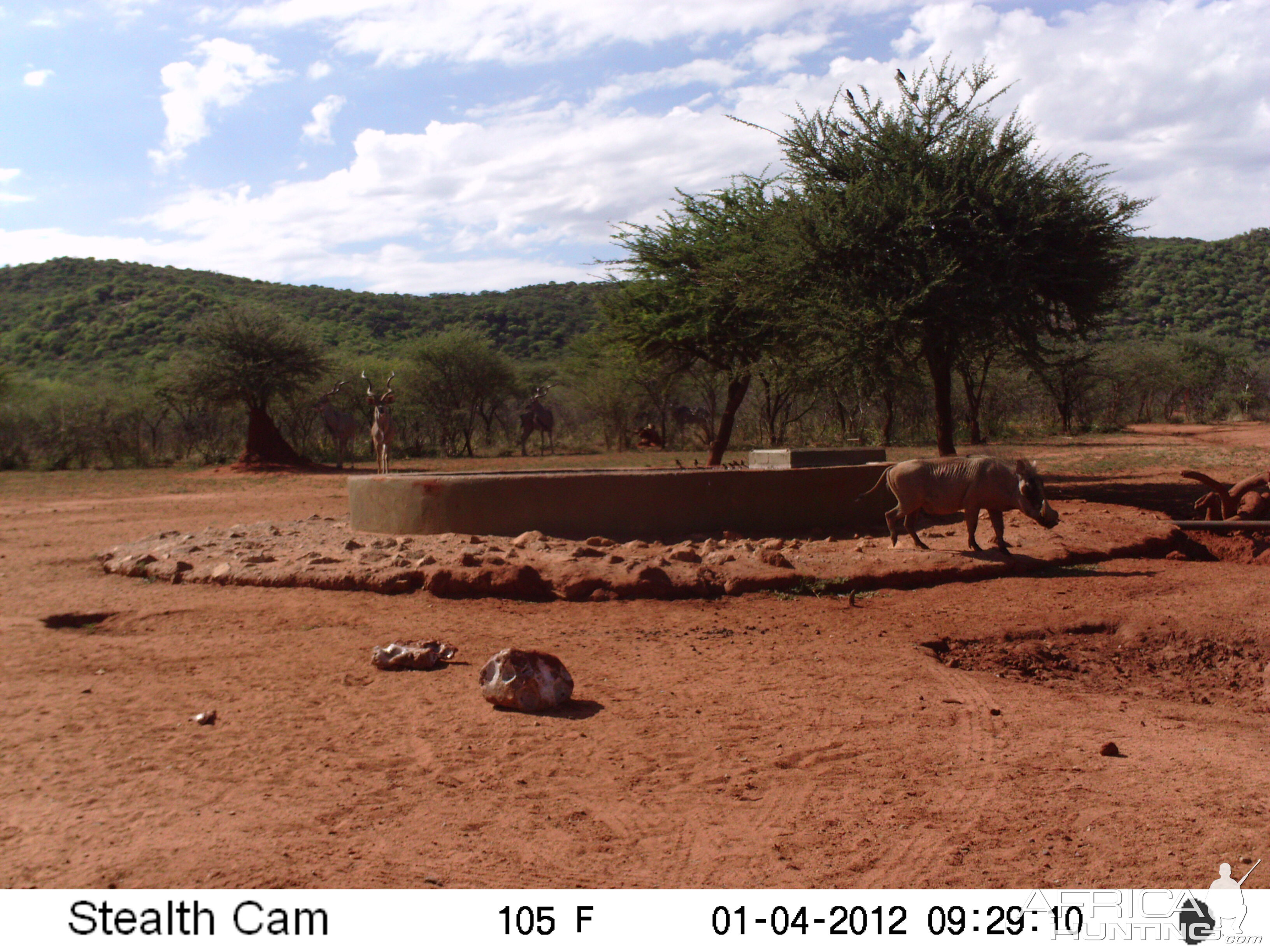 Trail Camera Namibia