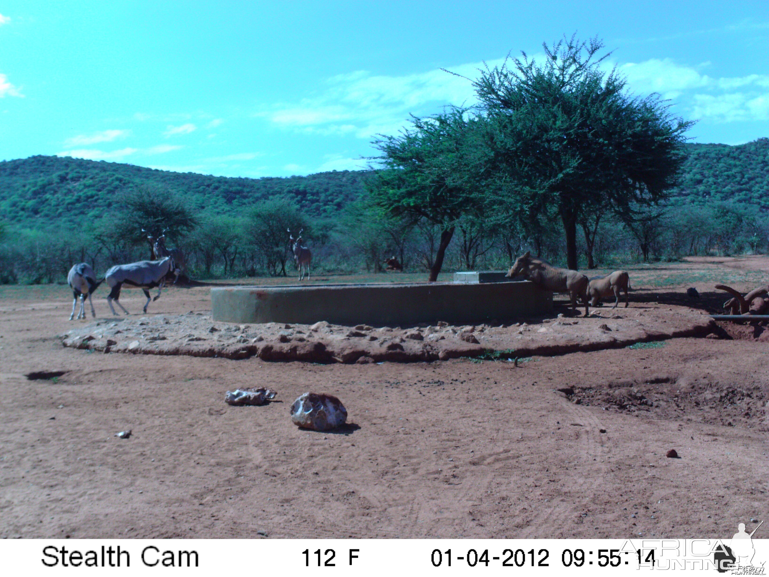 Trail Camera Namibia