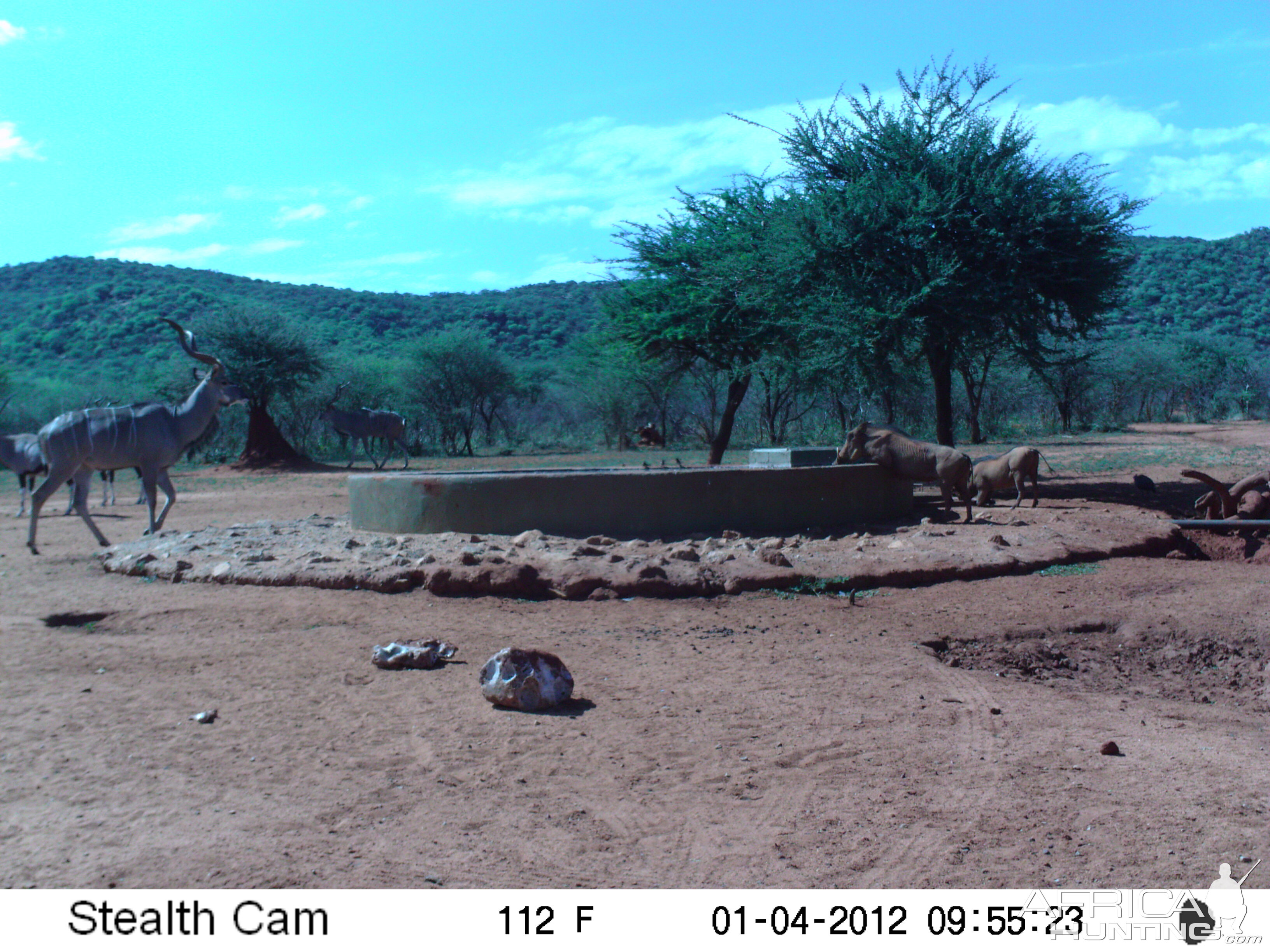 Trail Camera Namibia