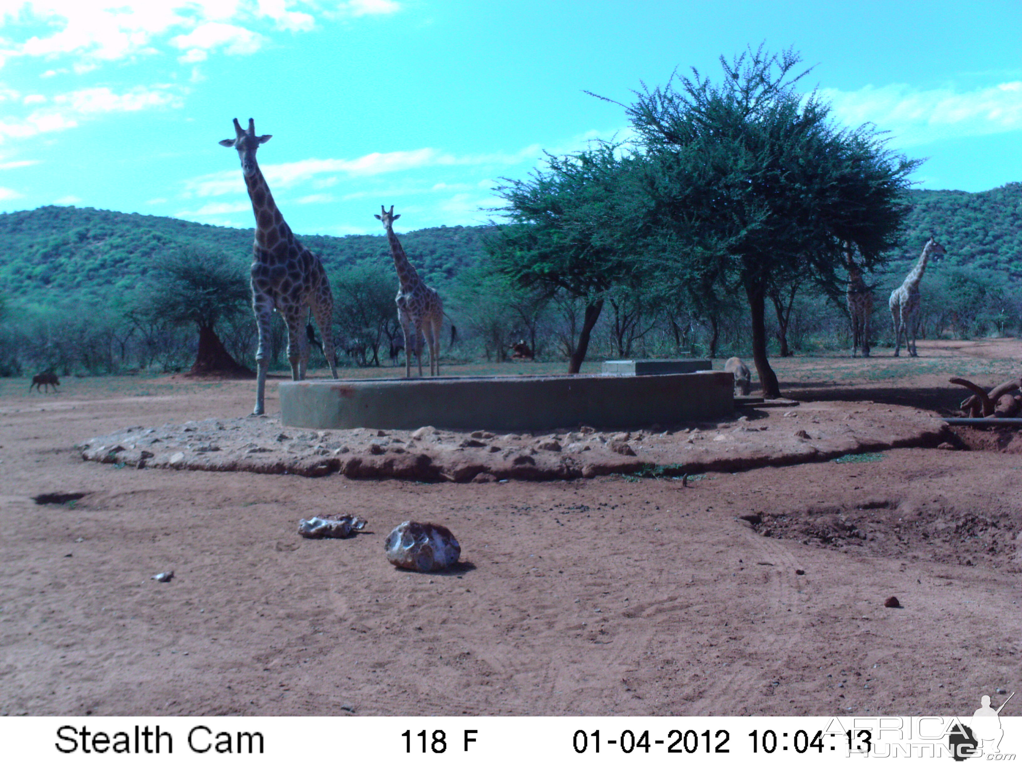 Trail Camera Namibia