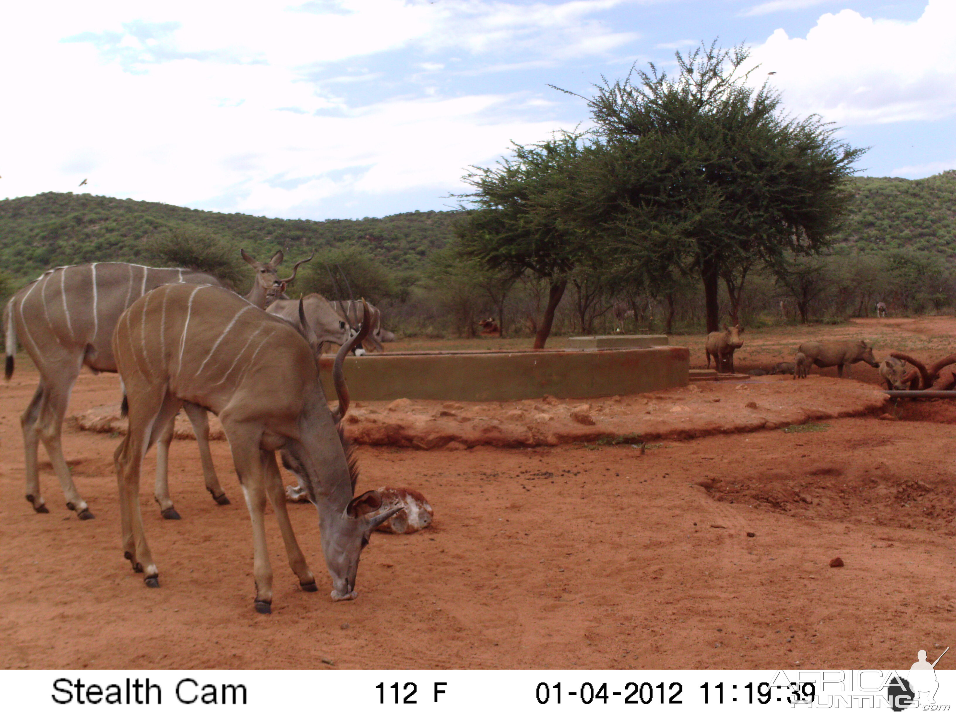 Trail Camera Namibia