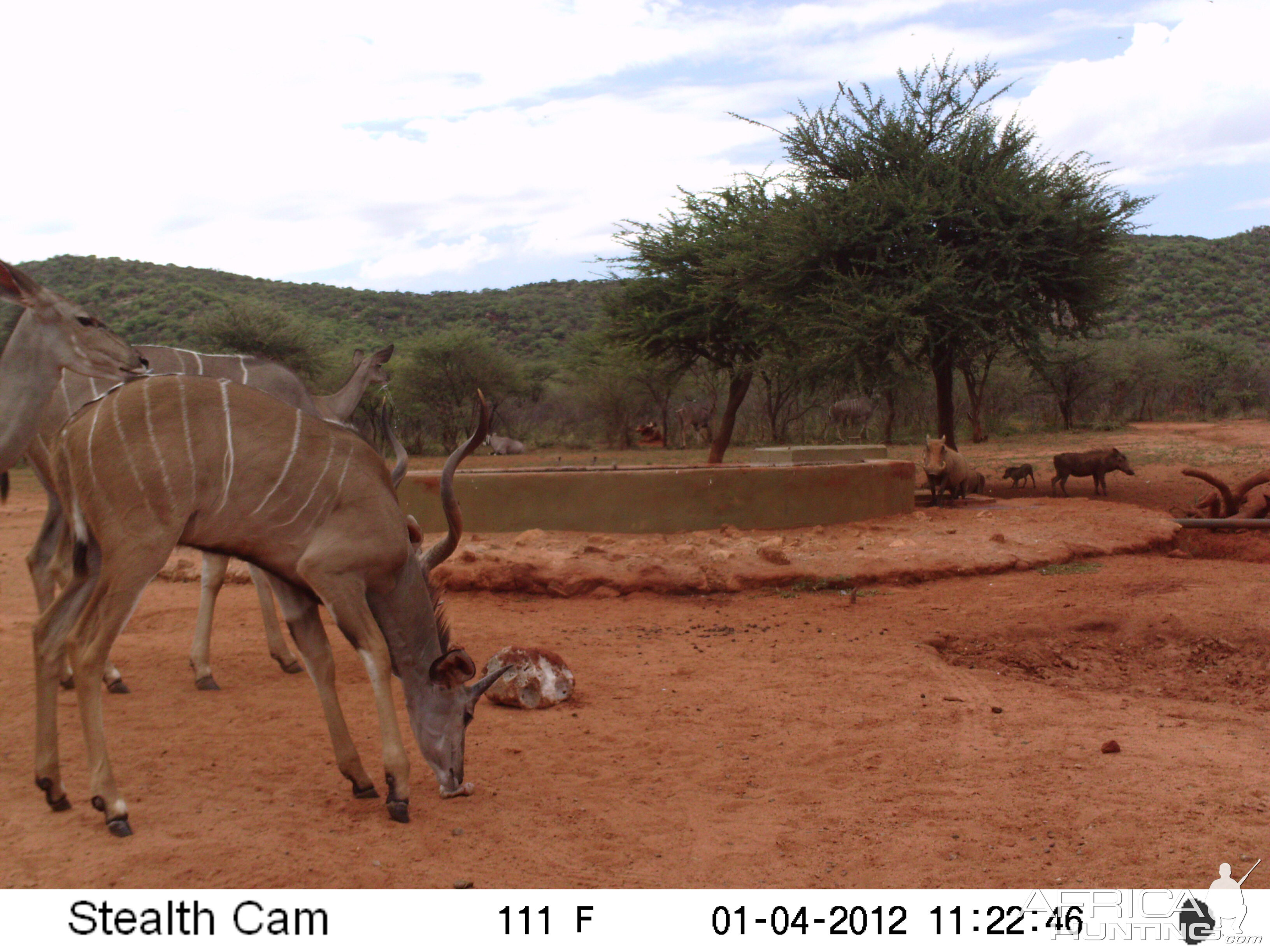 Trail Camera Namibia