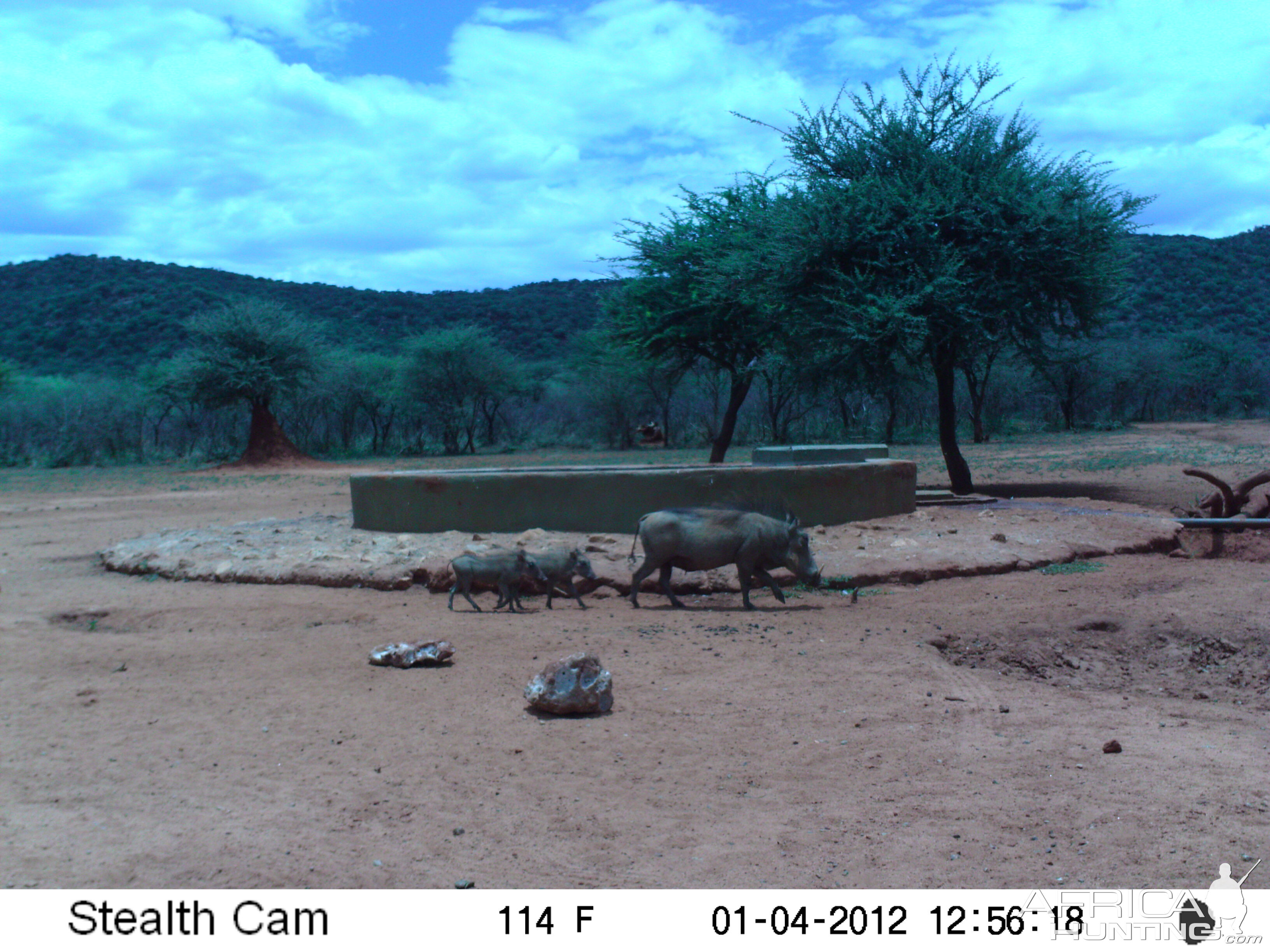 Trail Camera Namibia