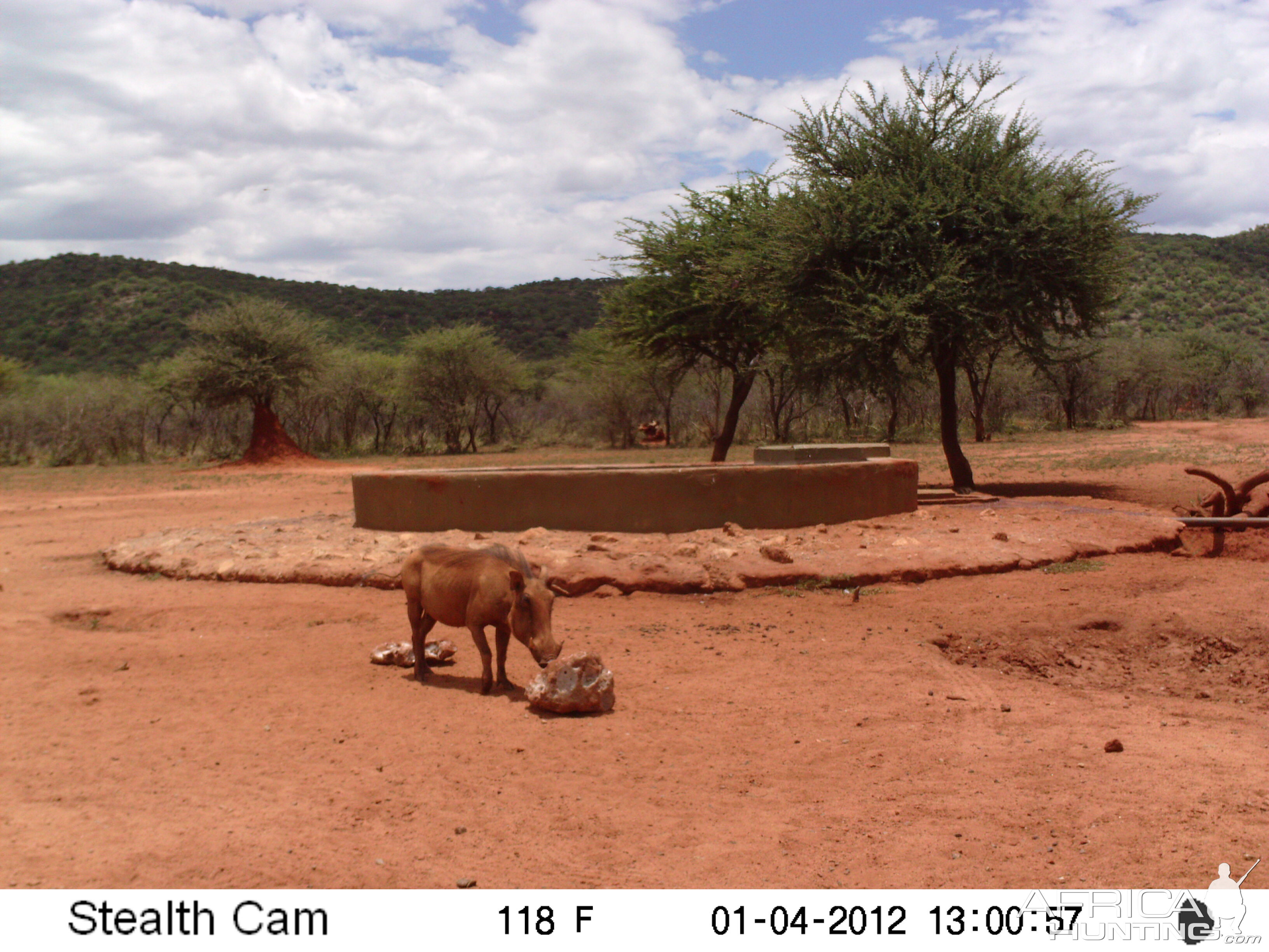 Trail Camera Namibia