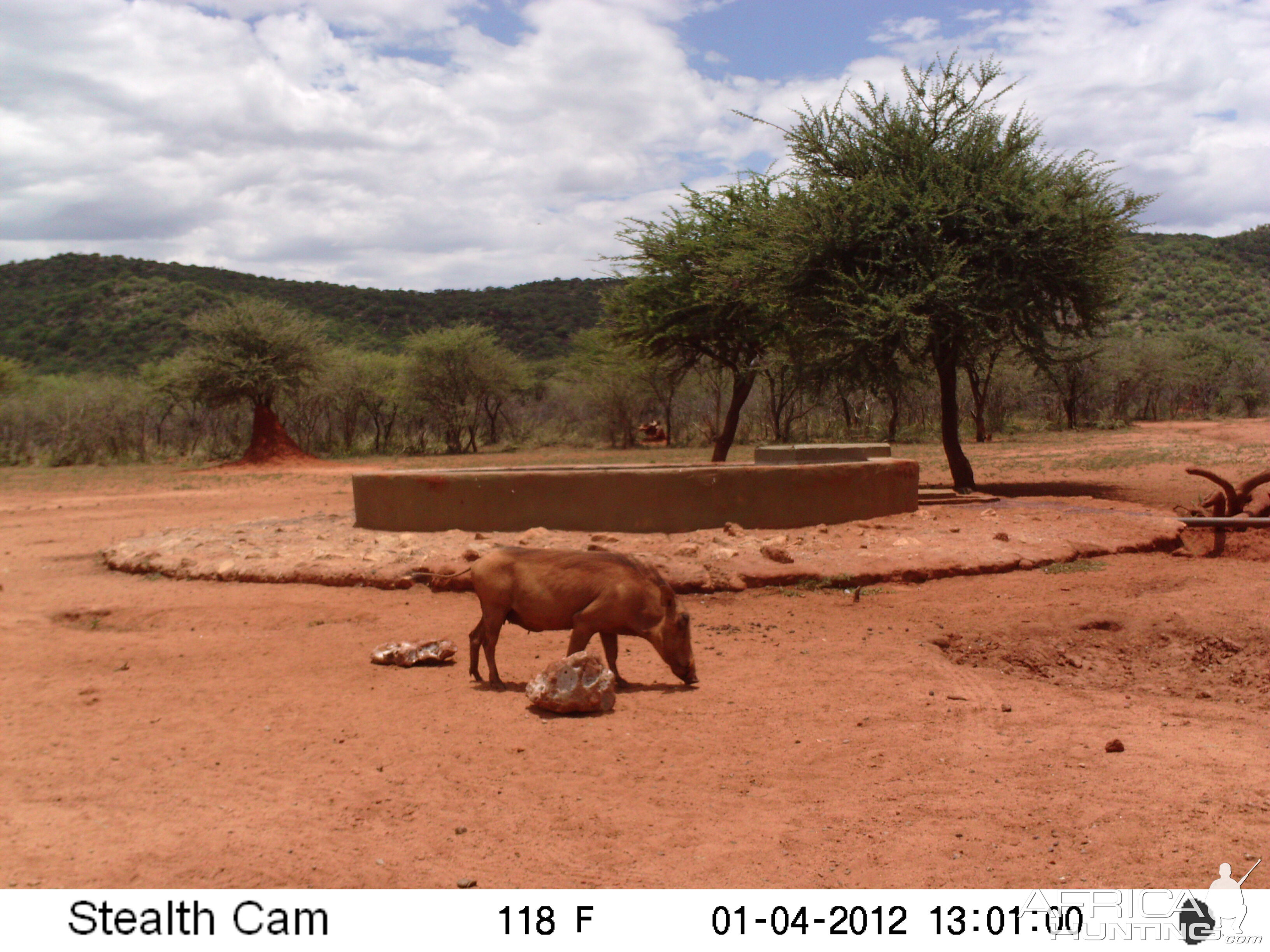 Trail Camera Namibia