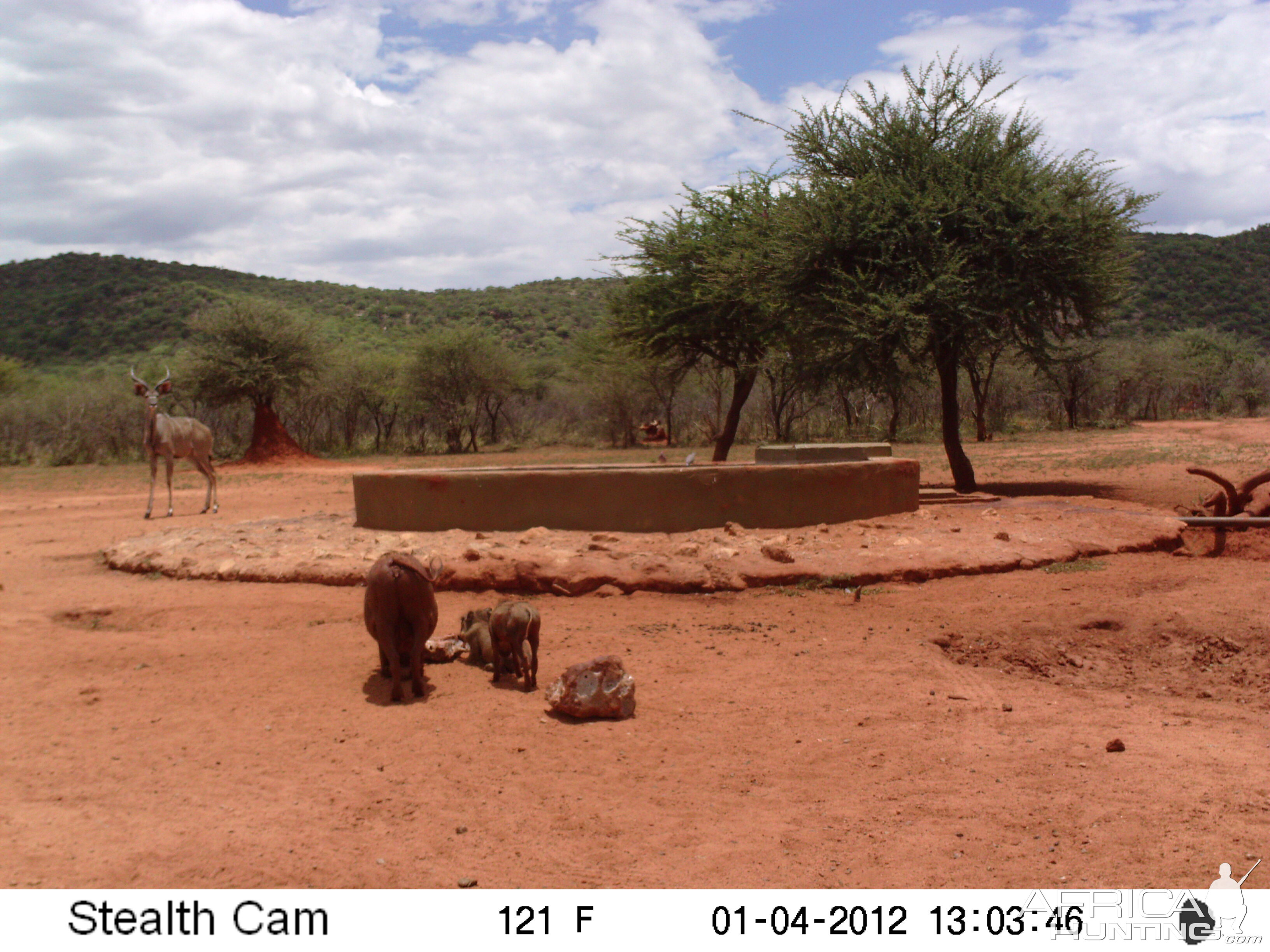 Trail Camera Namibia