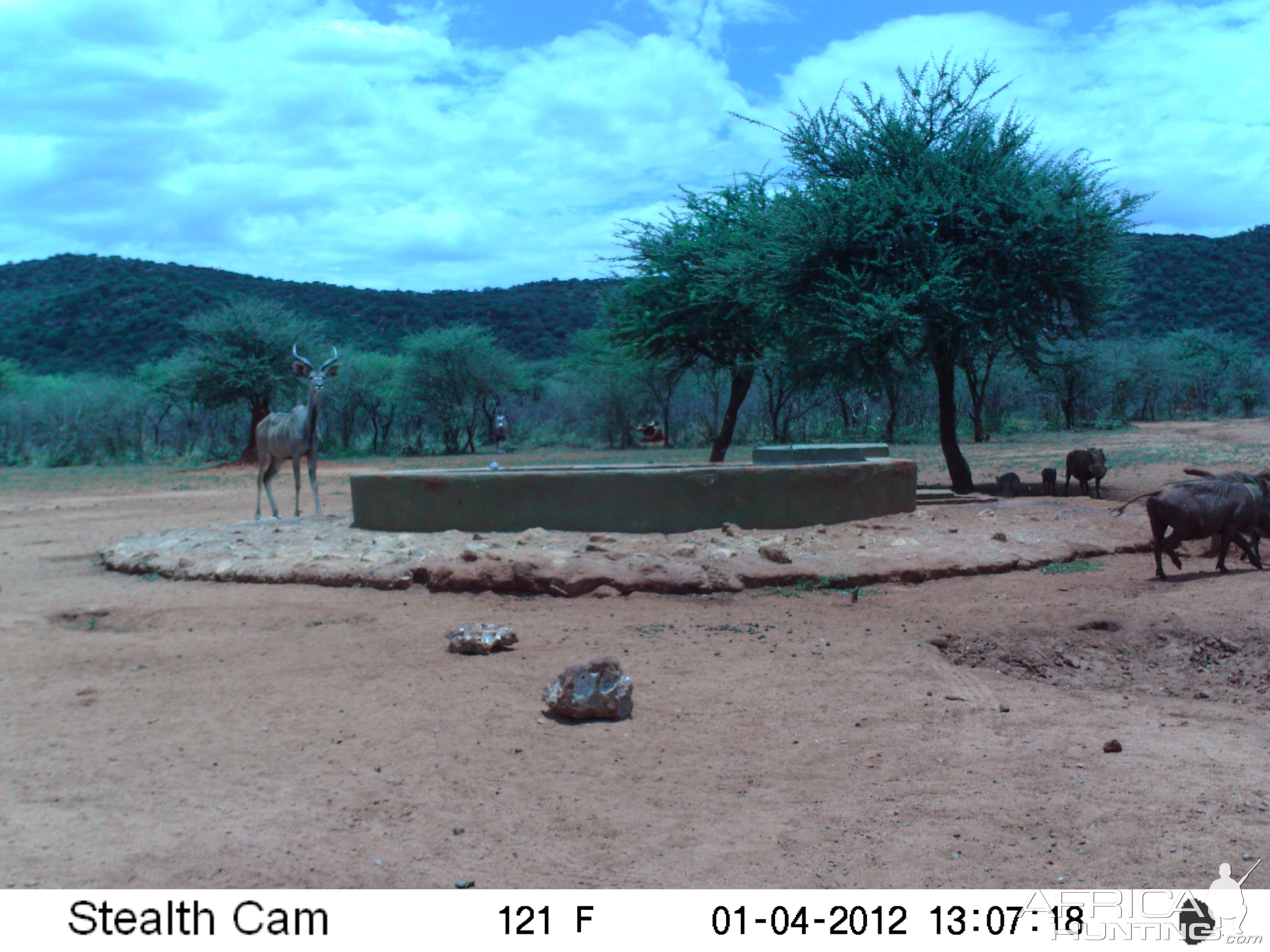 Trail Camera Namibia