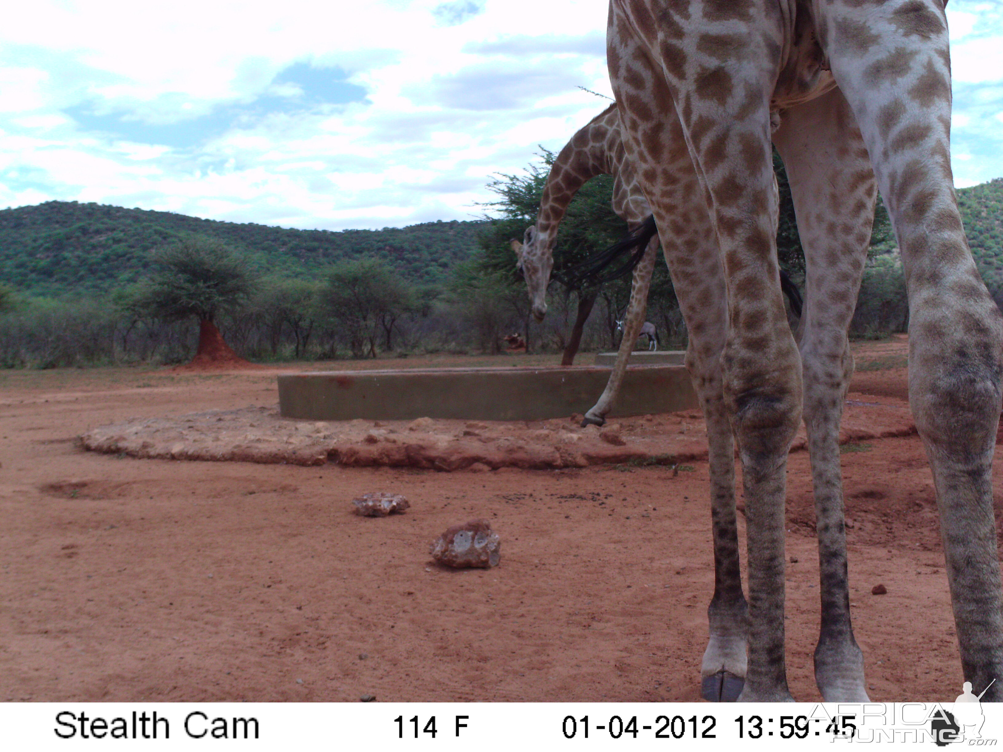 Trail Camera Namibia