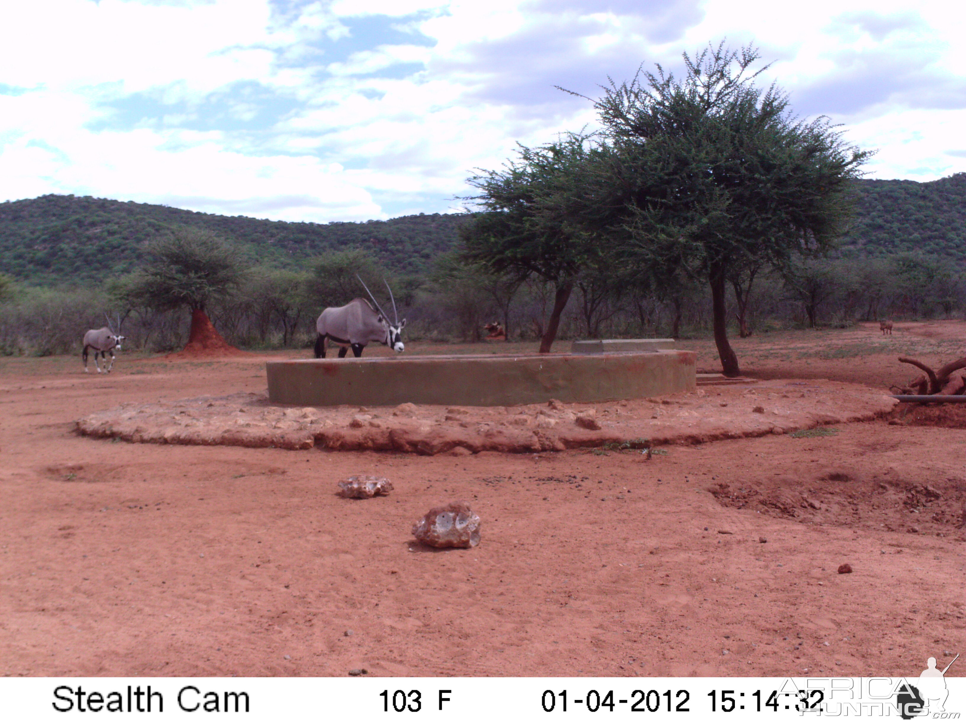 Trail Camera Namibia