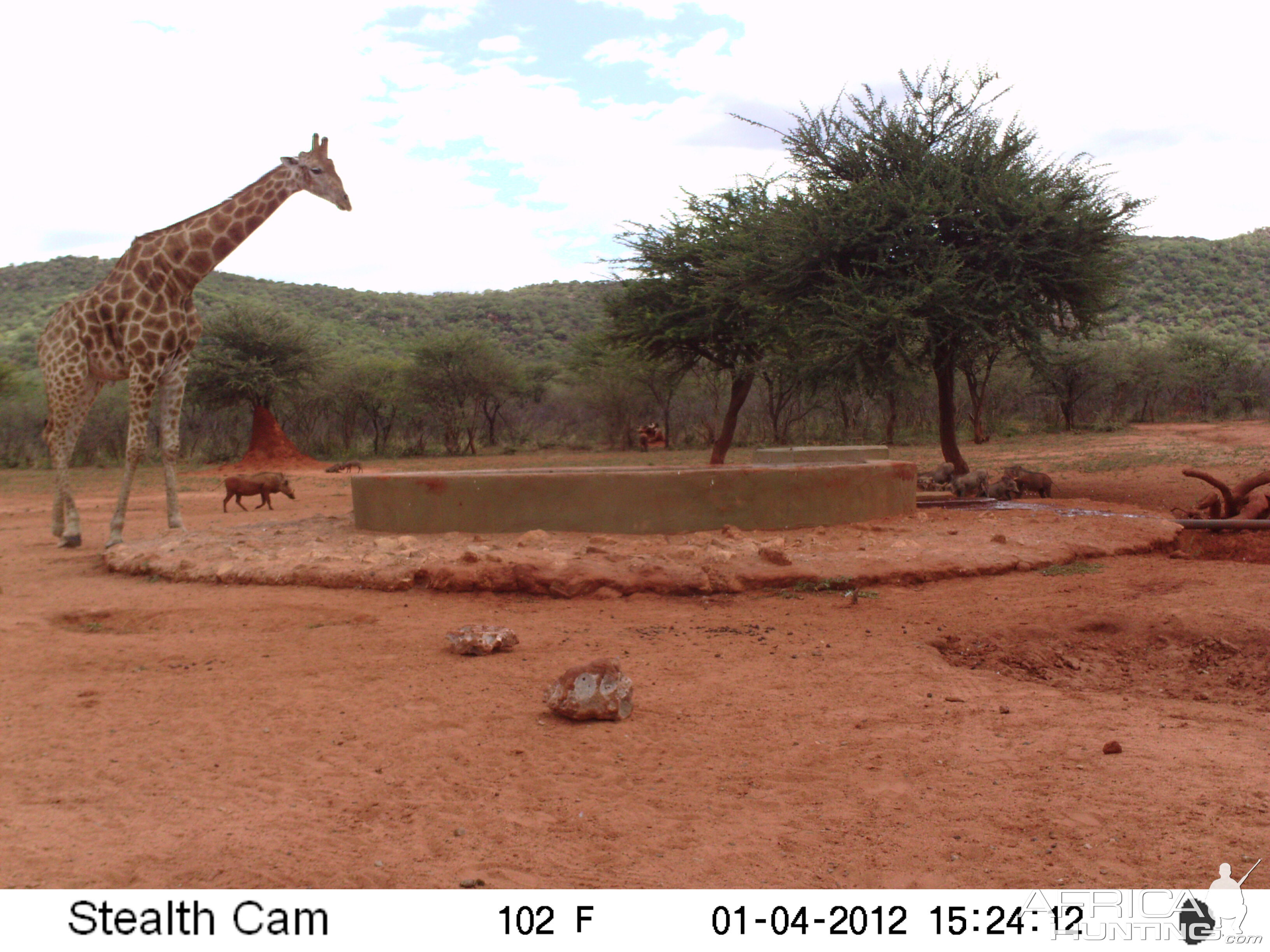 Trail Camera Namibia