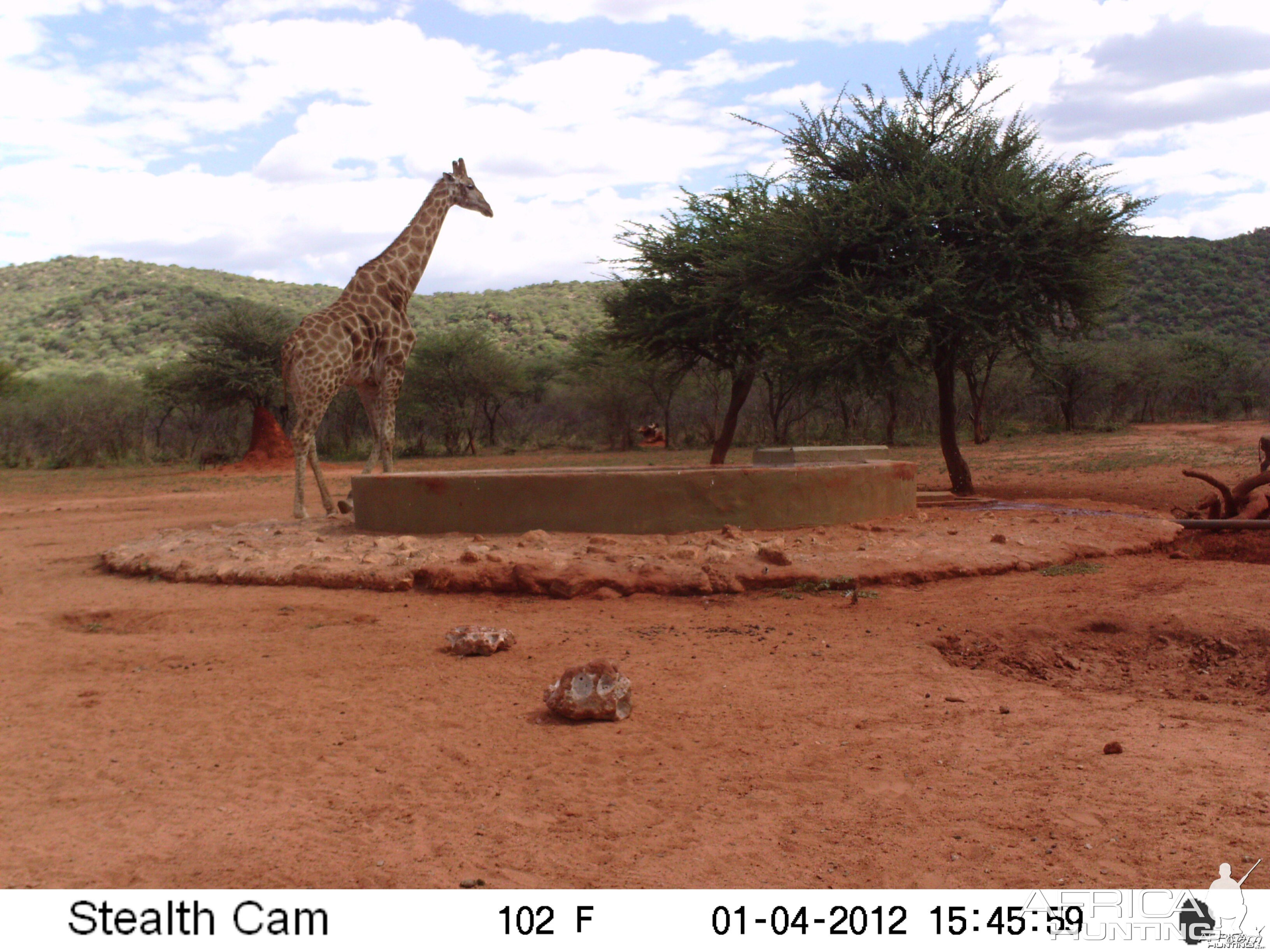 Trail Camera Namibia