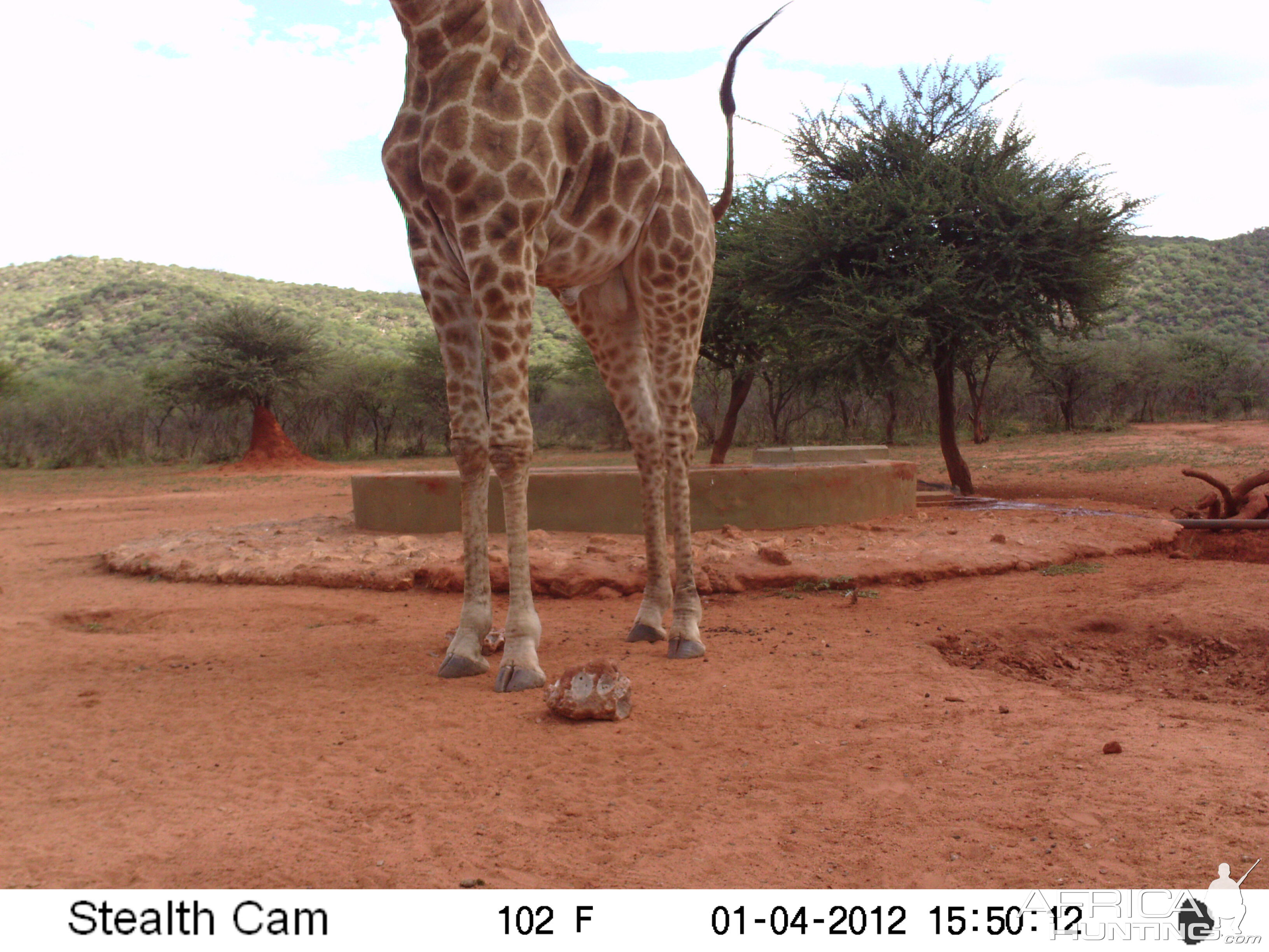 Trail Camera Namibia