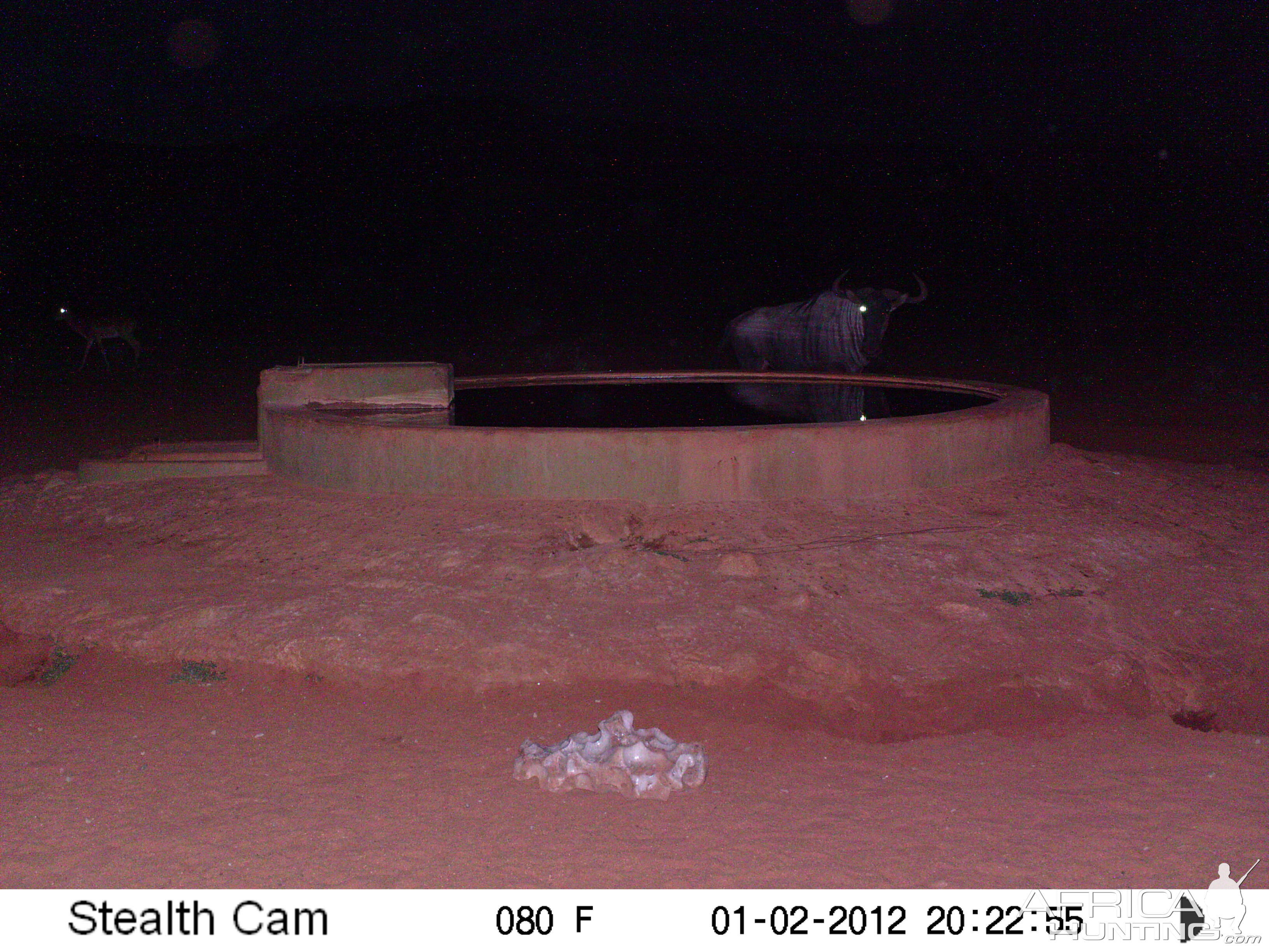 Trail Camera Namibia