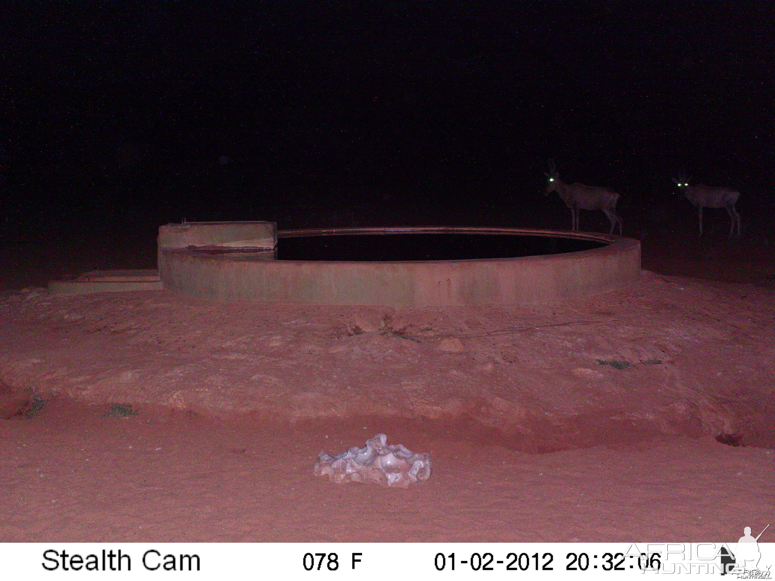 Trail Camera Namibia