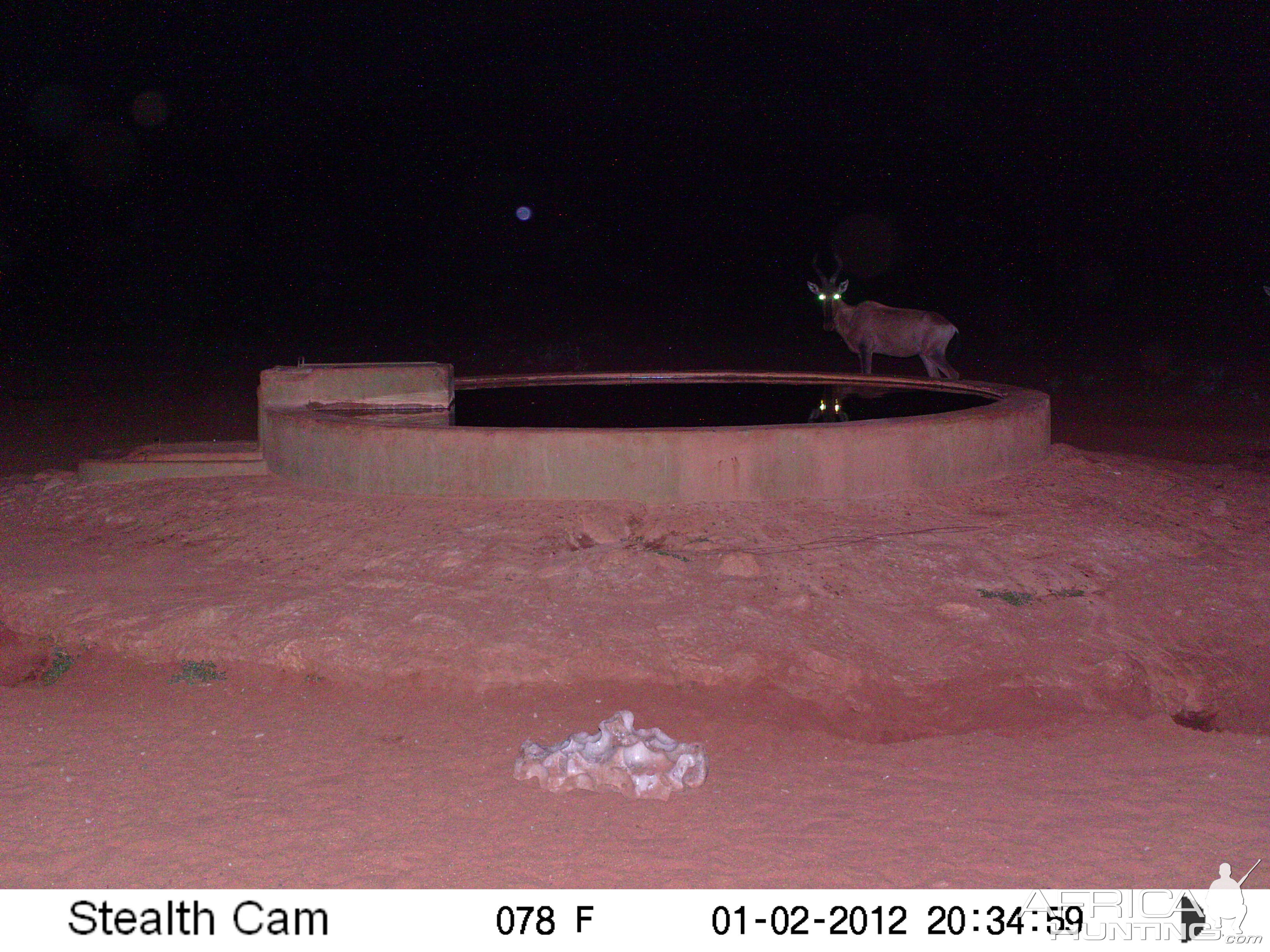 Trail Camera Namibia