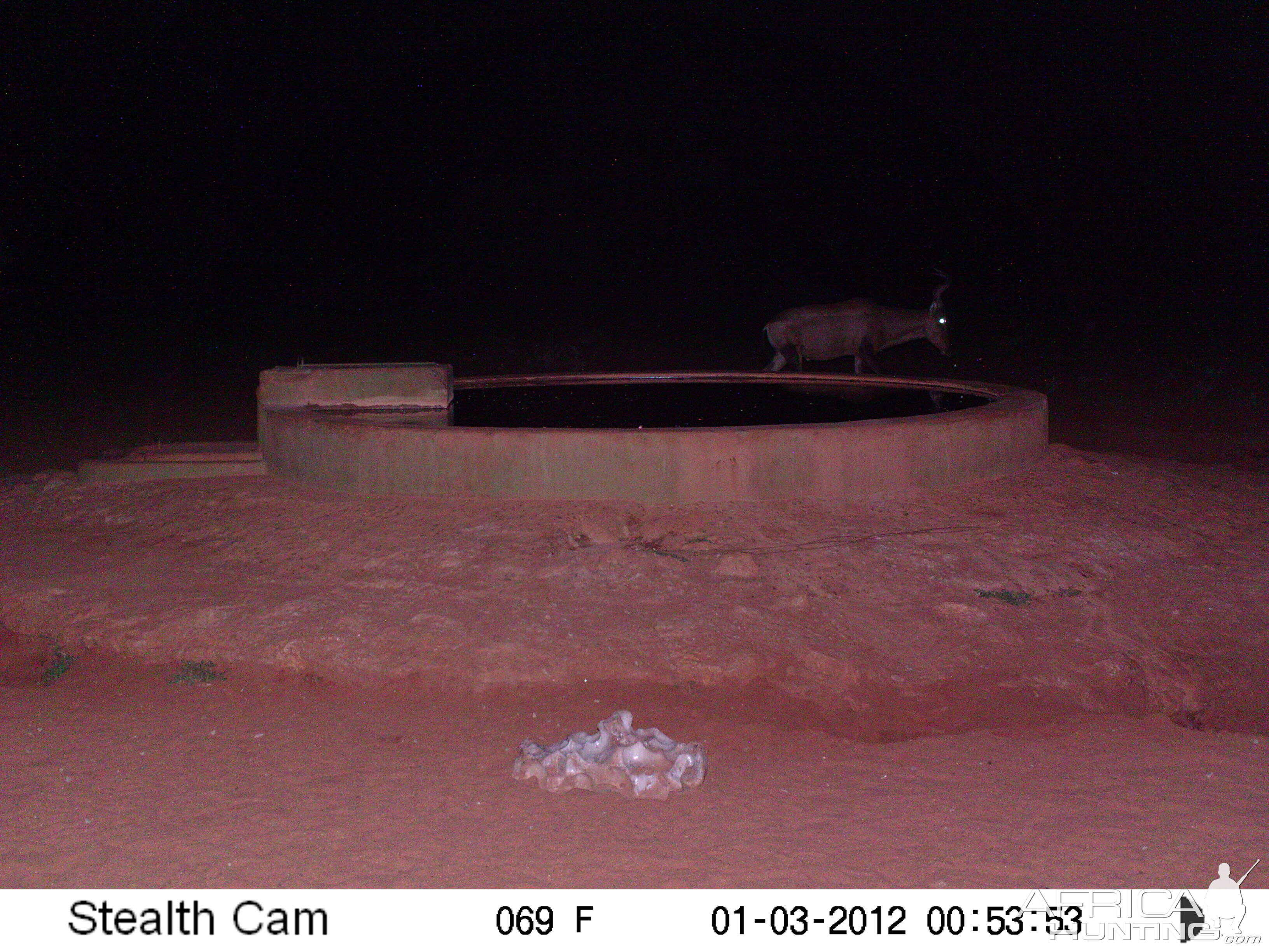 Trail Camera Namibia