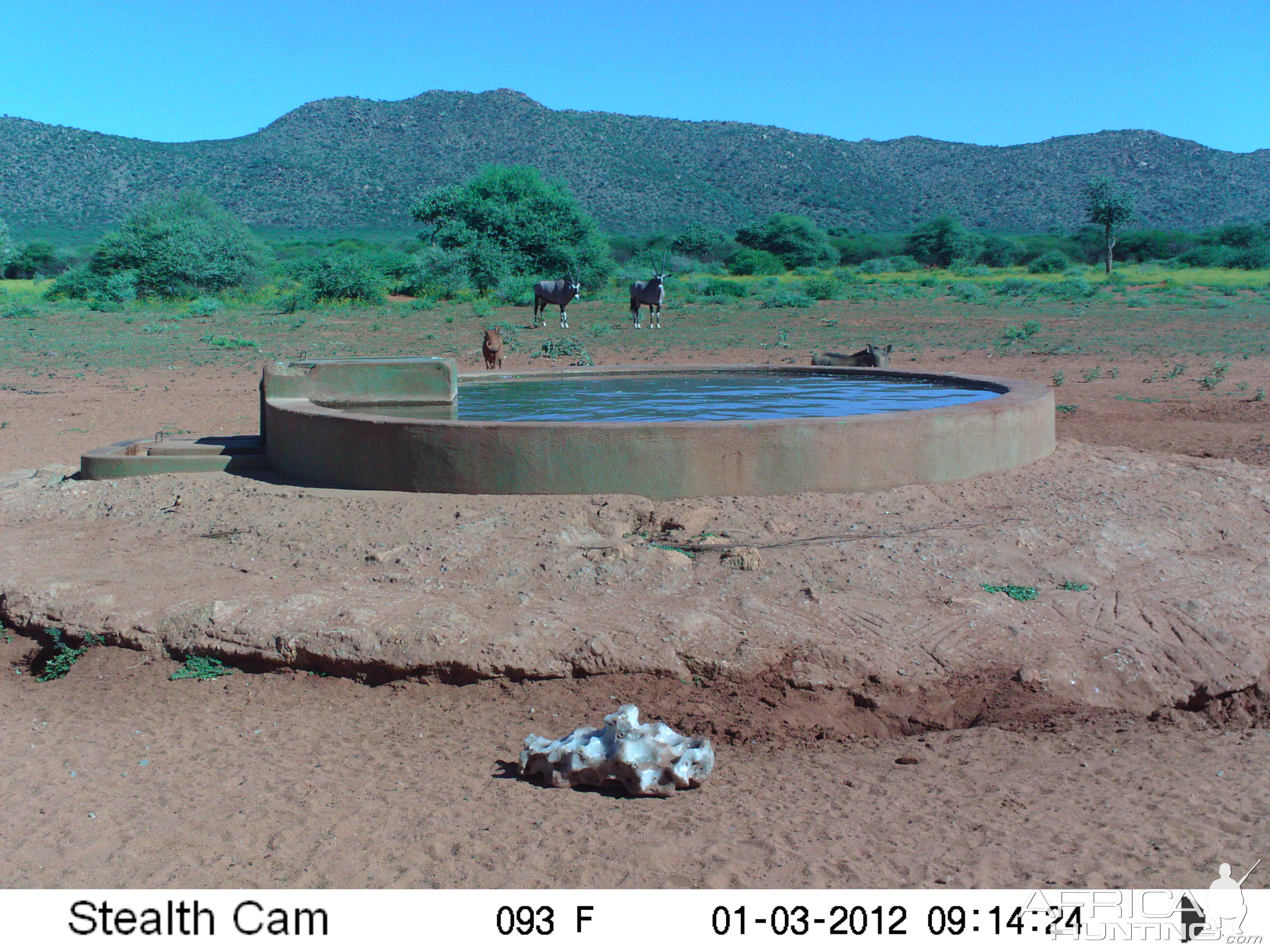 Trail Camera Namibia