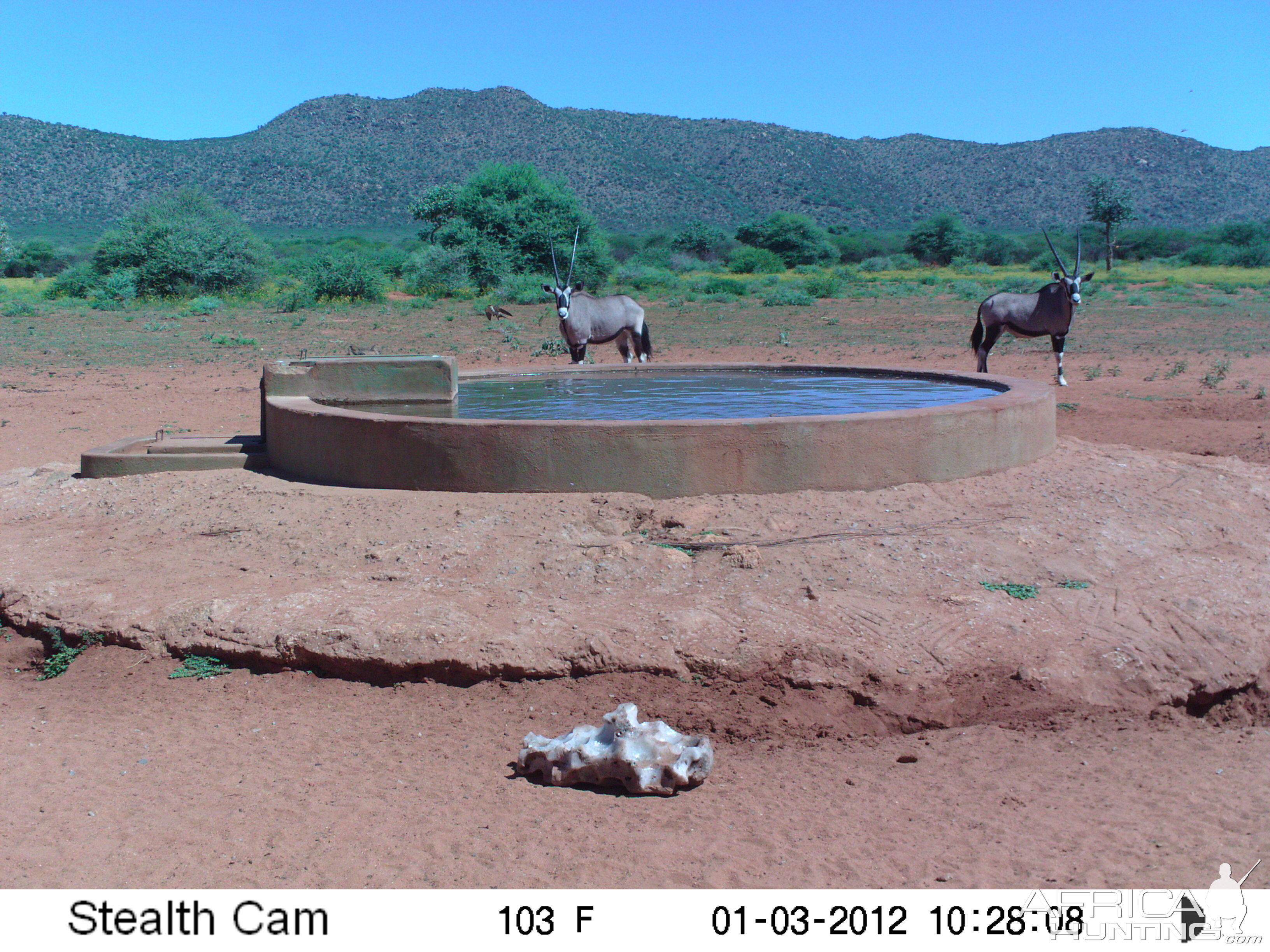 Trail Camera Namibia